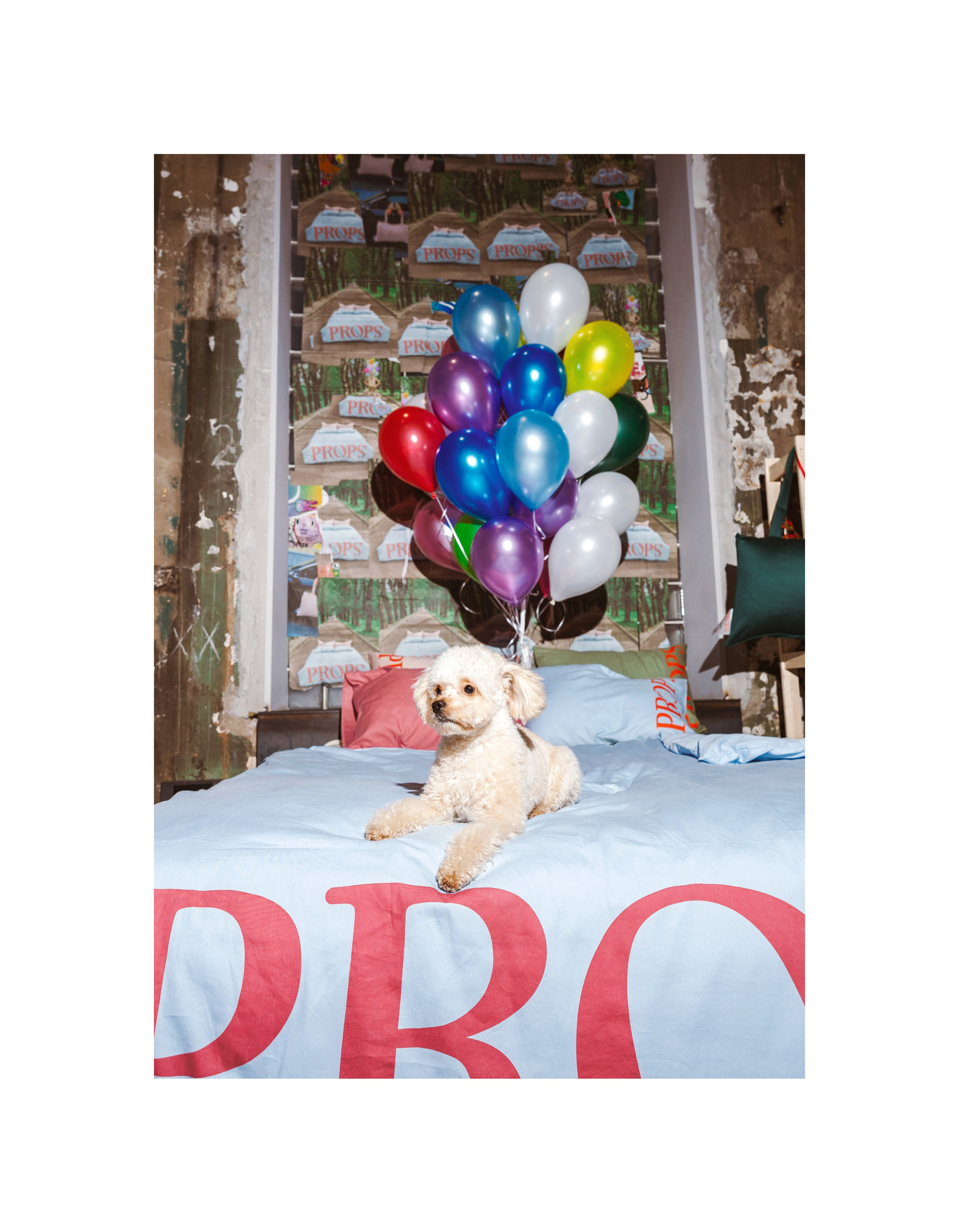 PROPS маркет. Портретный и ивент-фотограф в Москве