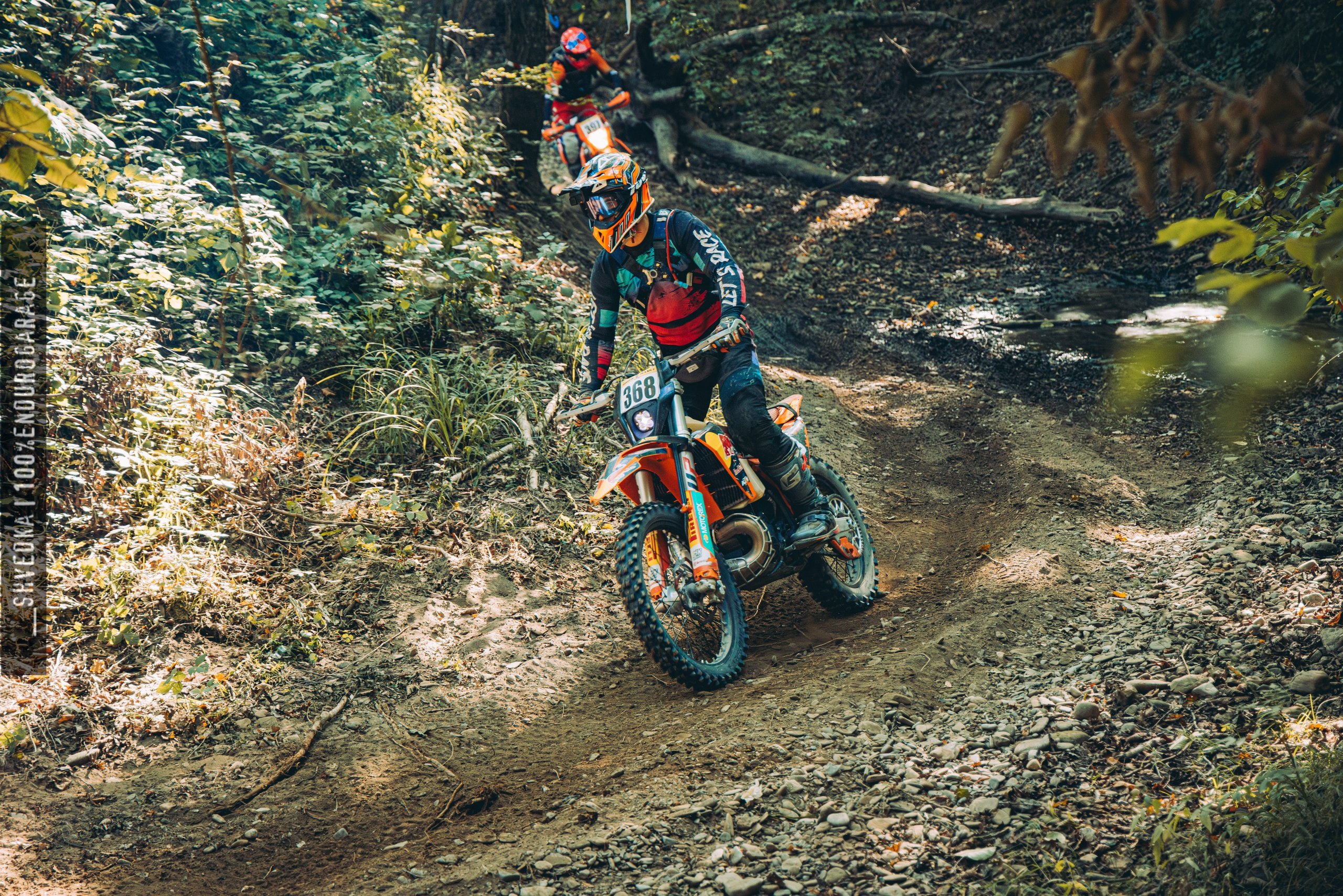 2 лесной день. Ваш экстрим фотограф Кудрева Яна