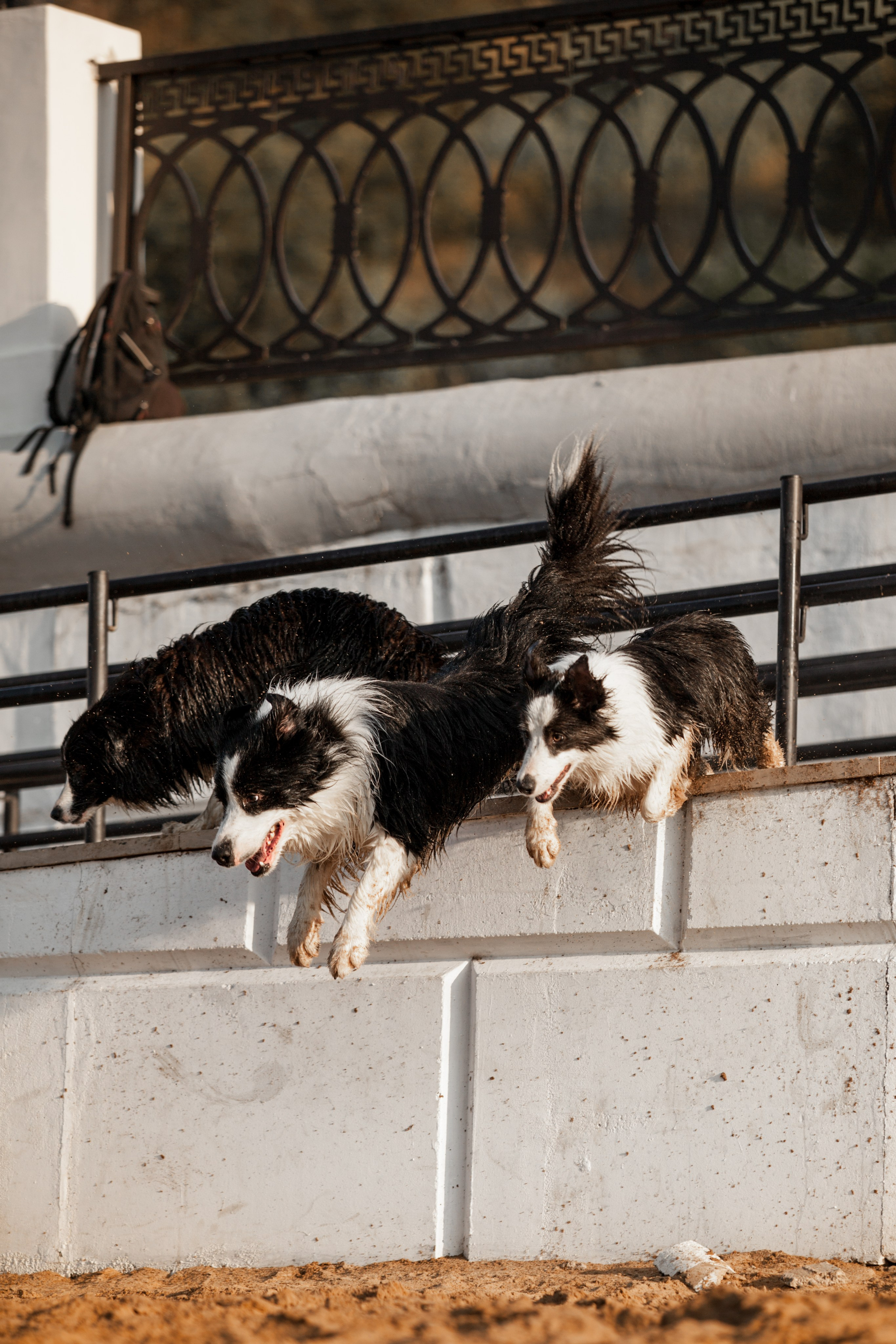 Сочный рассвет, на который решились. О нас