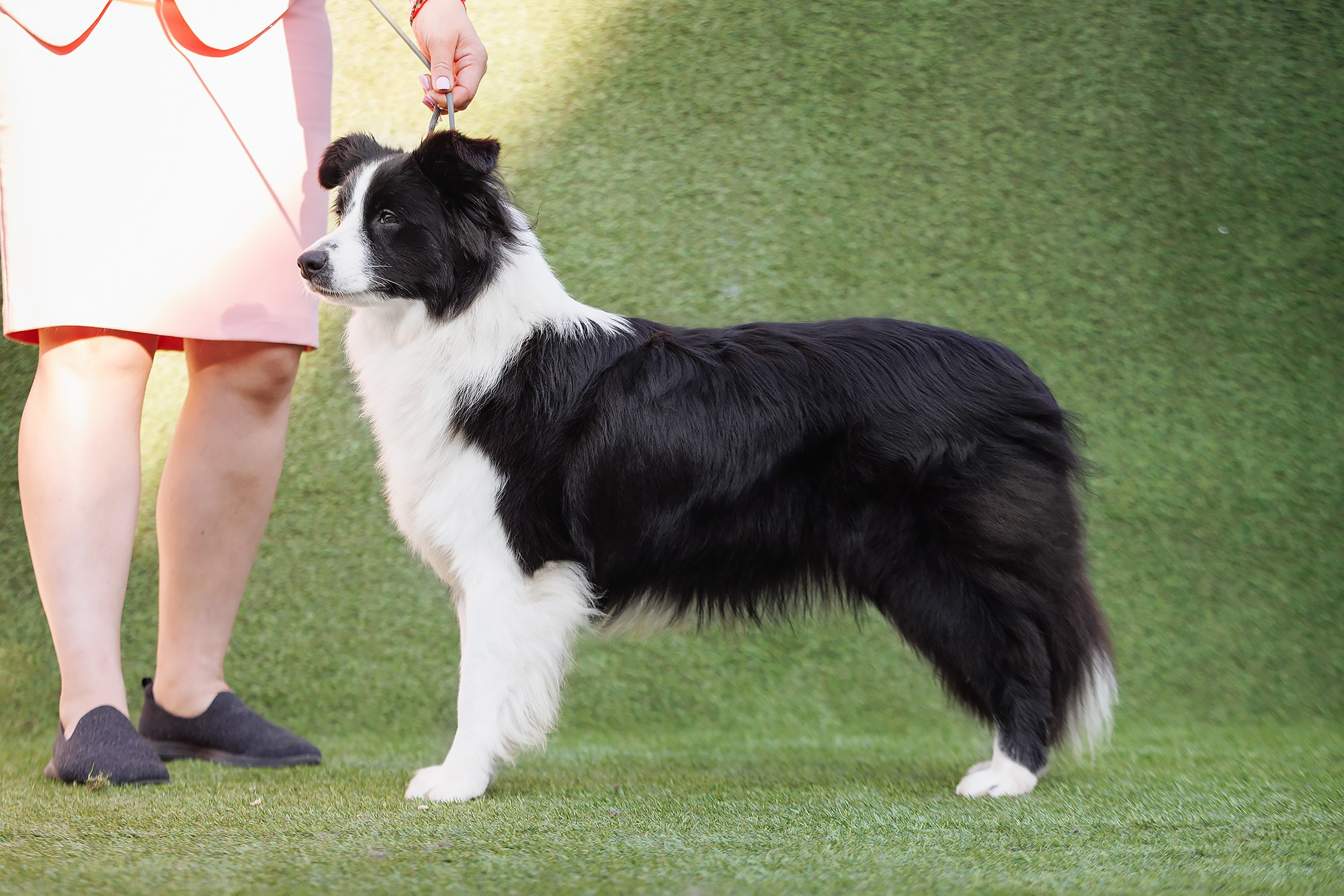 Ryzhaya Molniya Easy — Изи. О нас