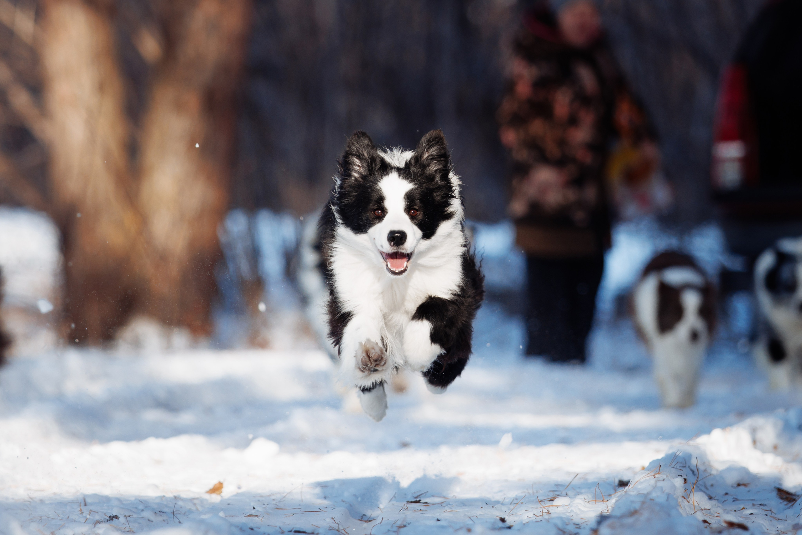 Яркий январь. О нас