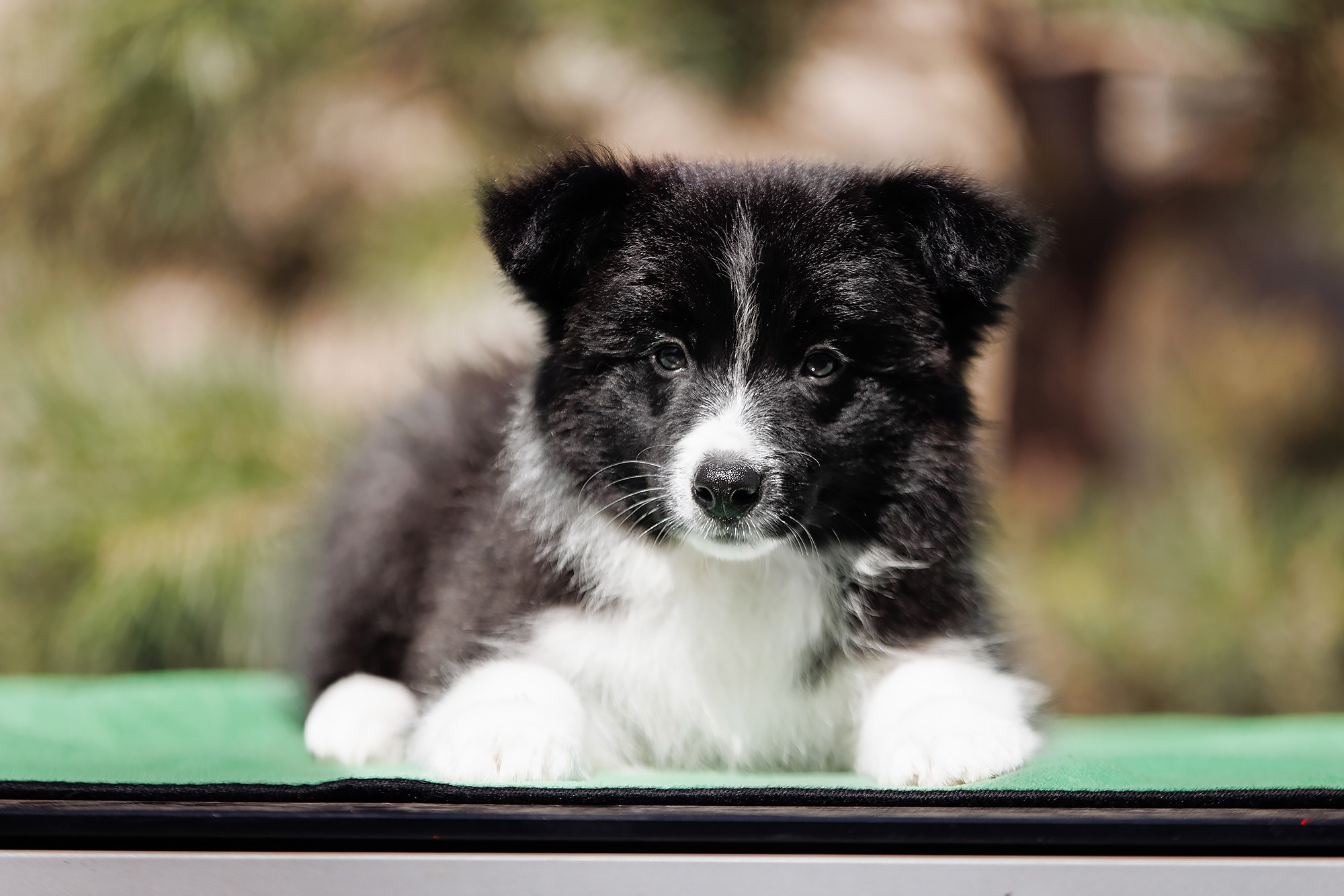 Трава у дома. О нас