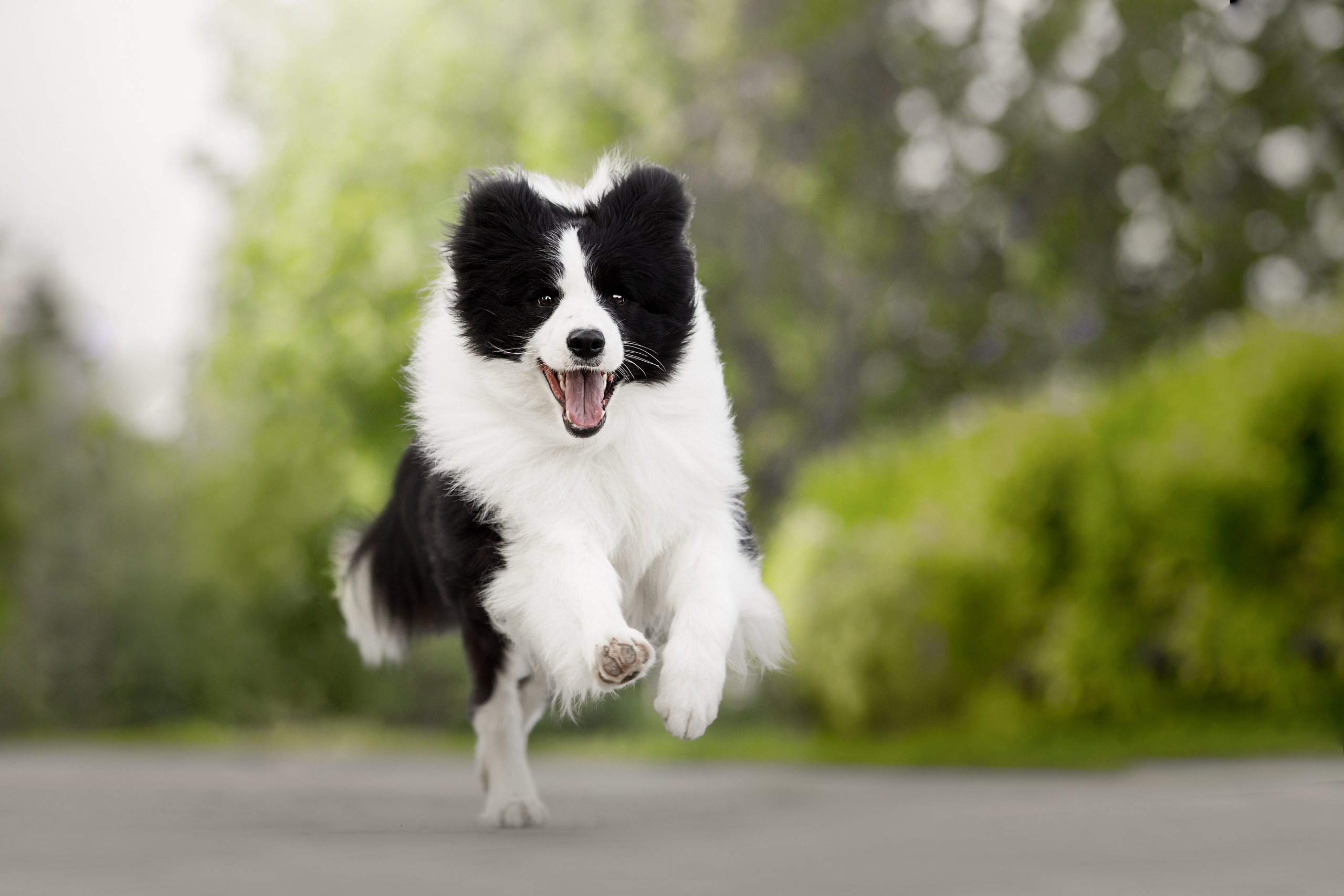 Роскошь в ростошах. О нас