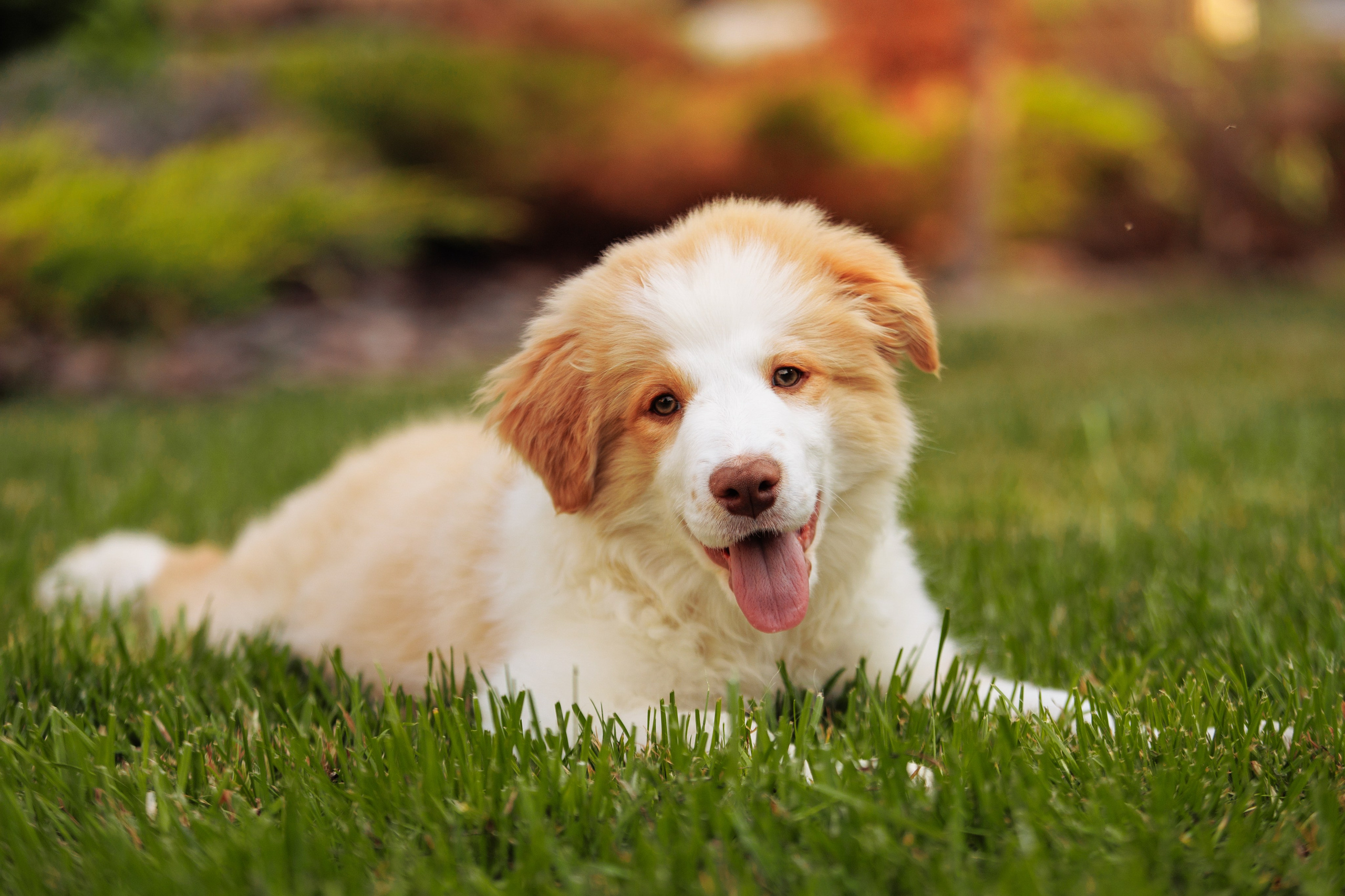 СОлнечные. О нас