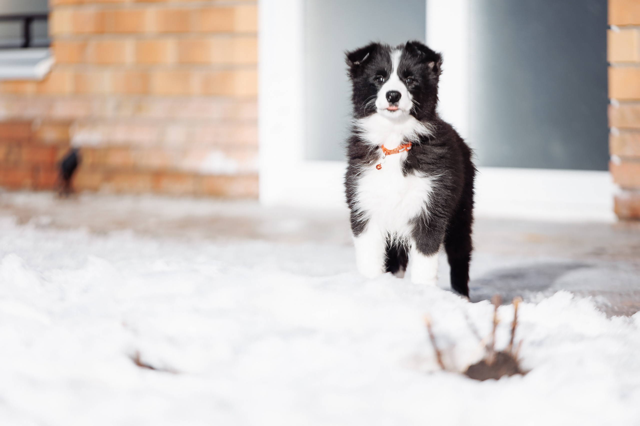 Пока таяло. О нас