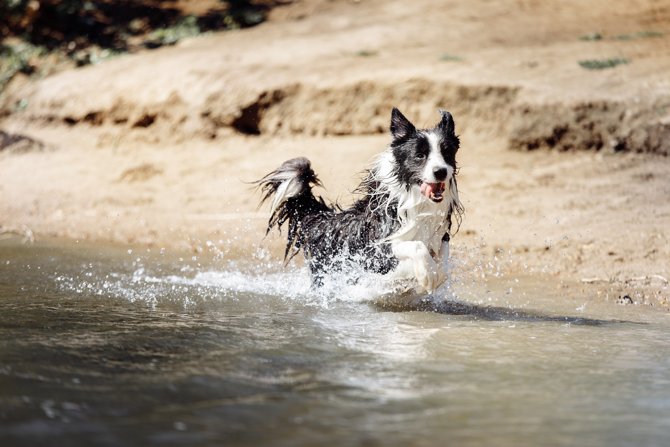 Водяные в Новотроицке. О нас