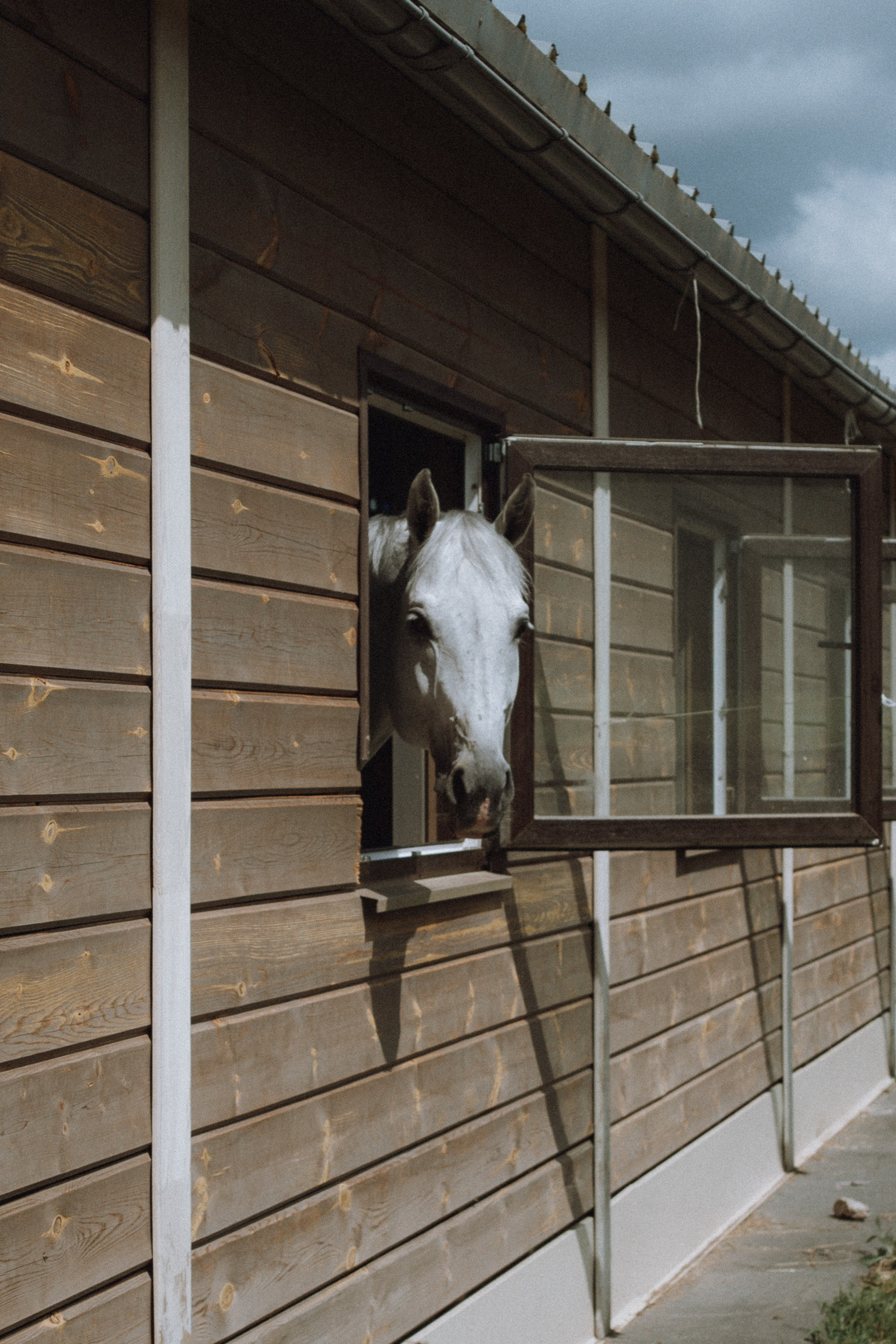 Emerald Stables CUP 2025. Бэкстейдж и репортажный фотограф в Москве Артем Онацко