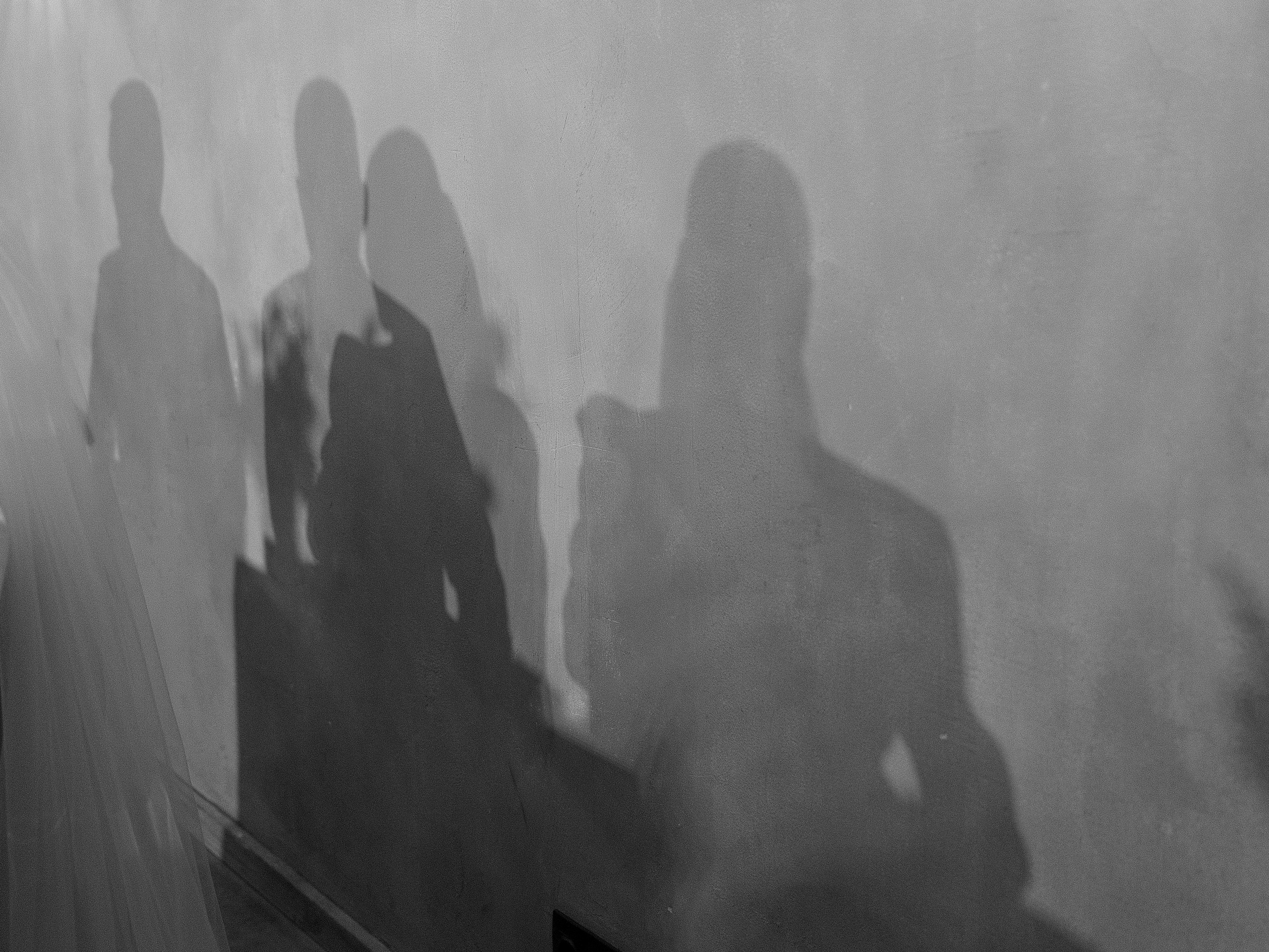 Дмитрий и Влада