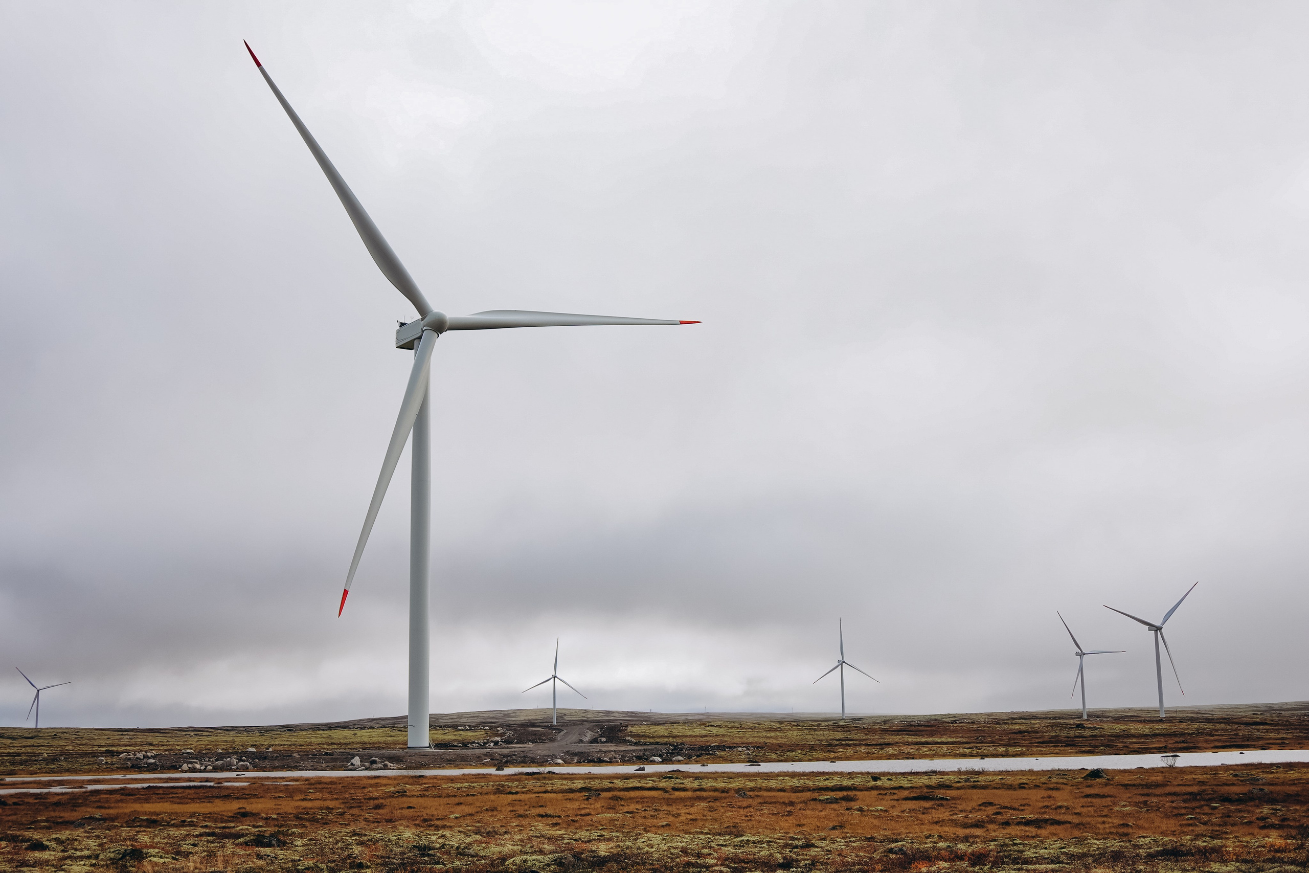 СЕВЕР. Event фотограф Степанова Александра