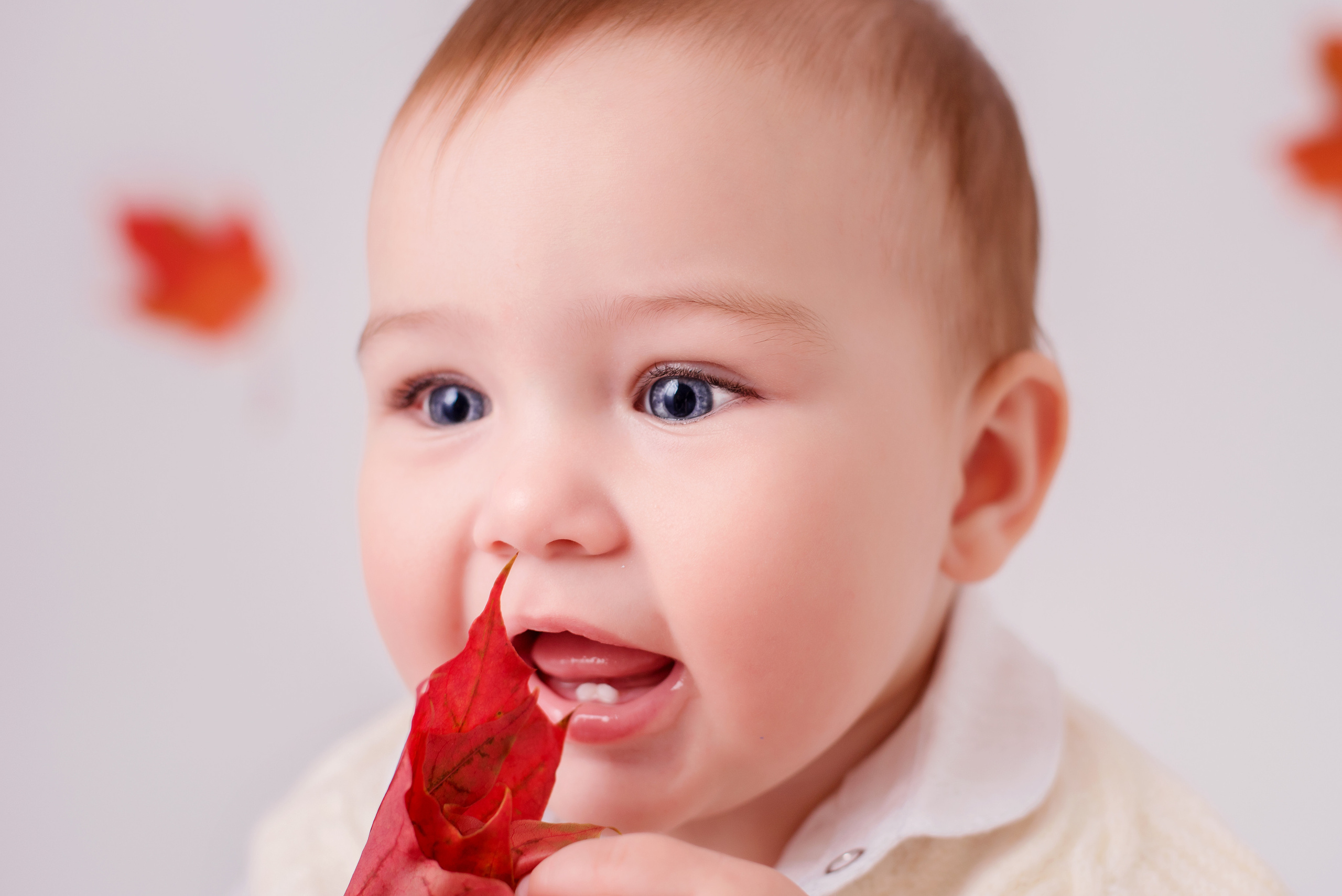 Маргарита 9 месяцев. Детский фотограф в Долгопрудном и Москве