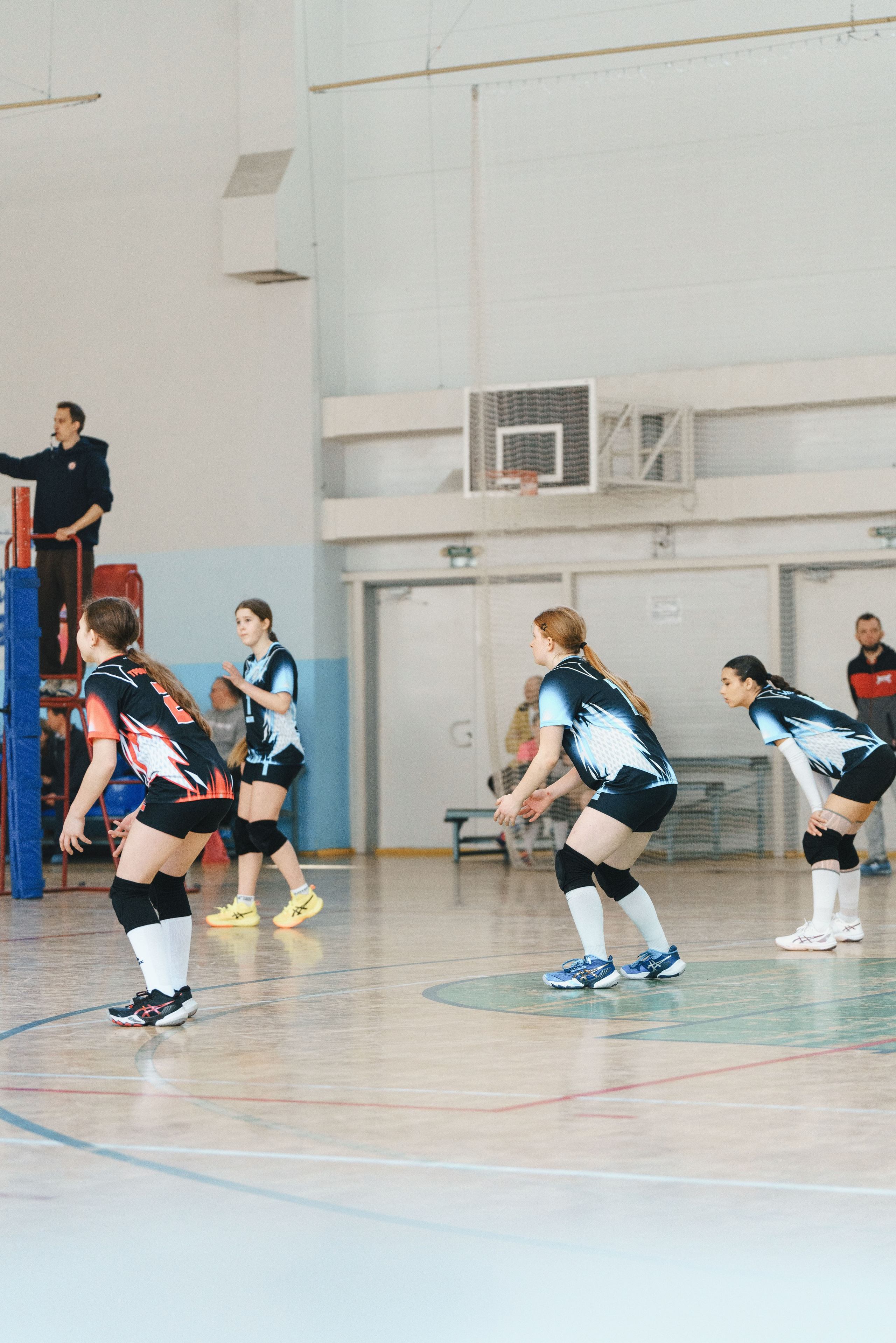 Волейбол торус. Фотограф-анималист в Санкт-Петербурге