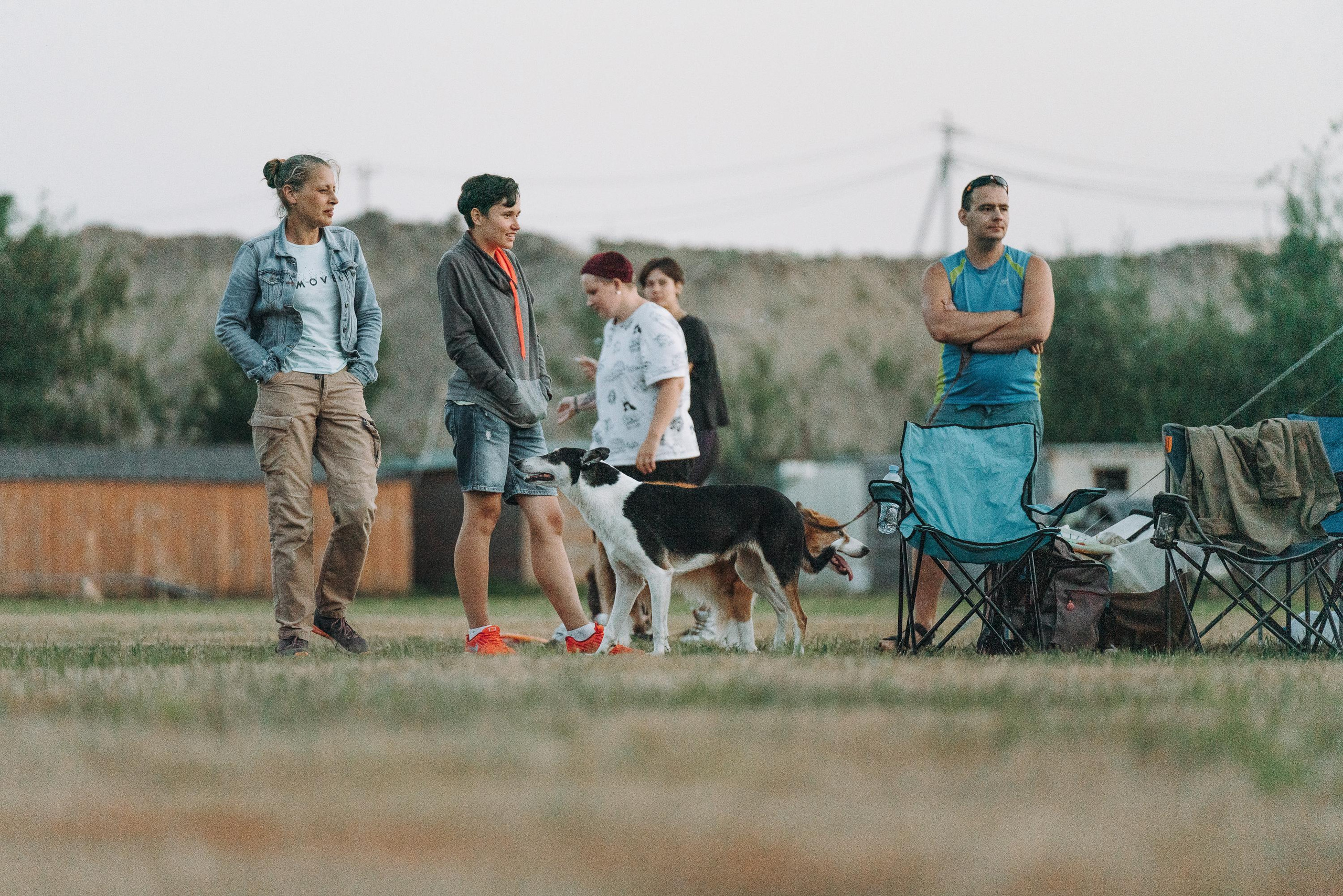 Фрисби игры UpDog. Фотограф анималист Осипчикова Мария