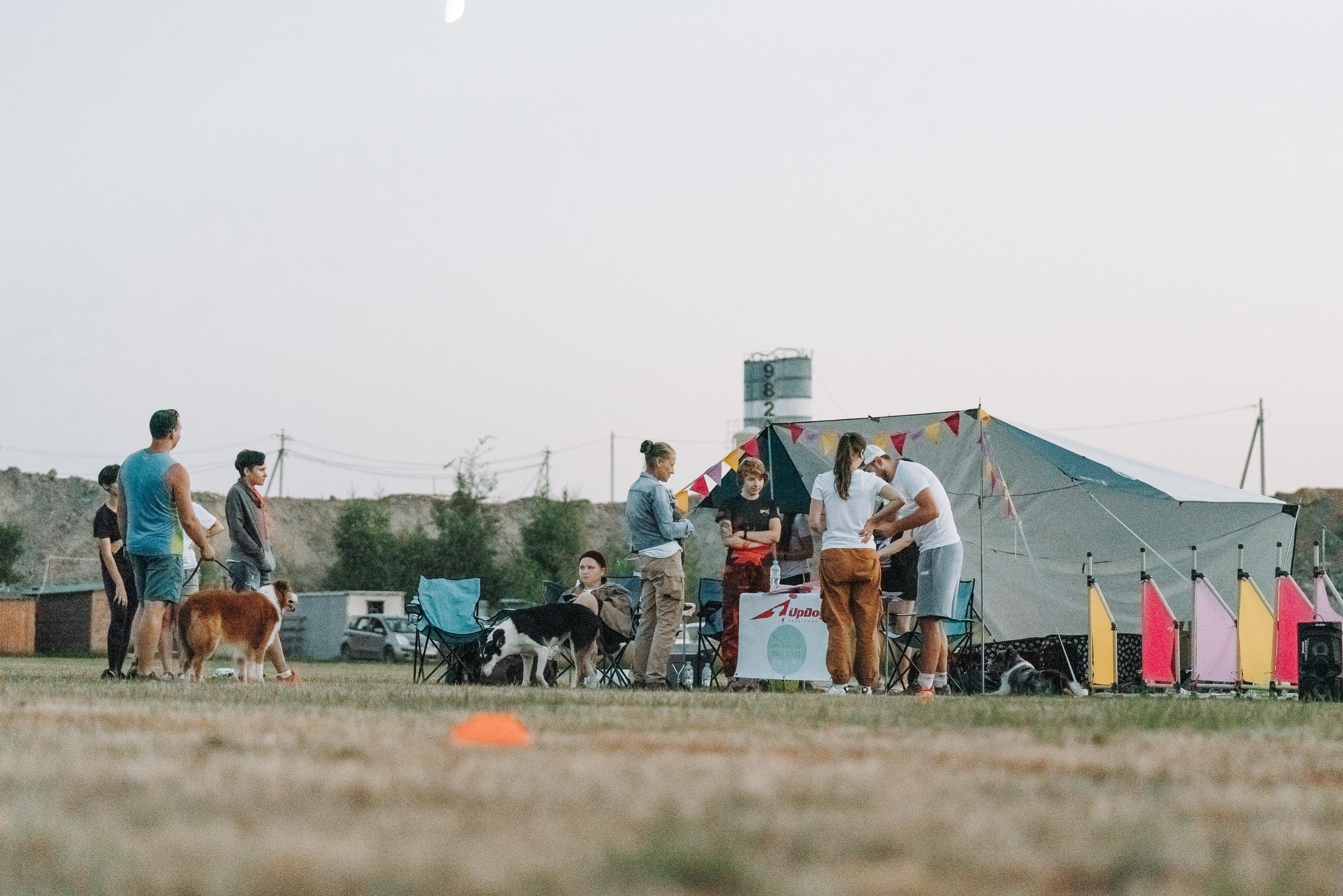 Фрисби игры UpDog. Фотограф анималист Осипчикова Мария