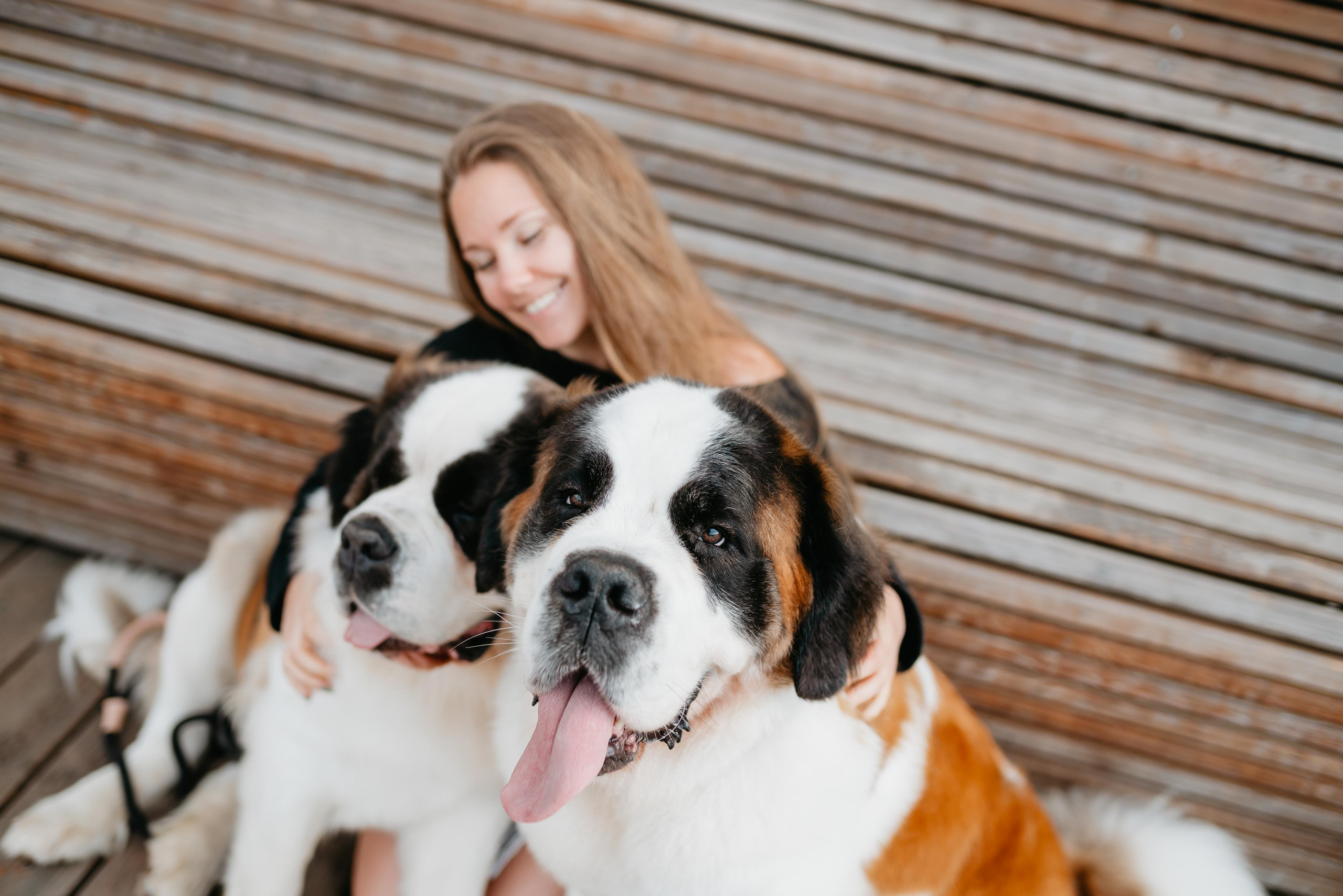 Оля, Молли и Эмми. Фотограф анималист Осипчикова Мария
