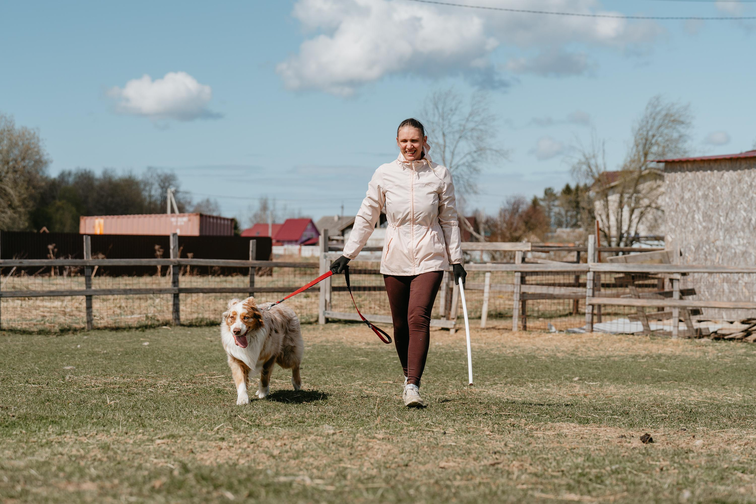 Пастушья служба. Фотограф анималист Осипчикова Мария