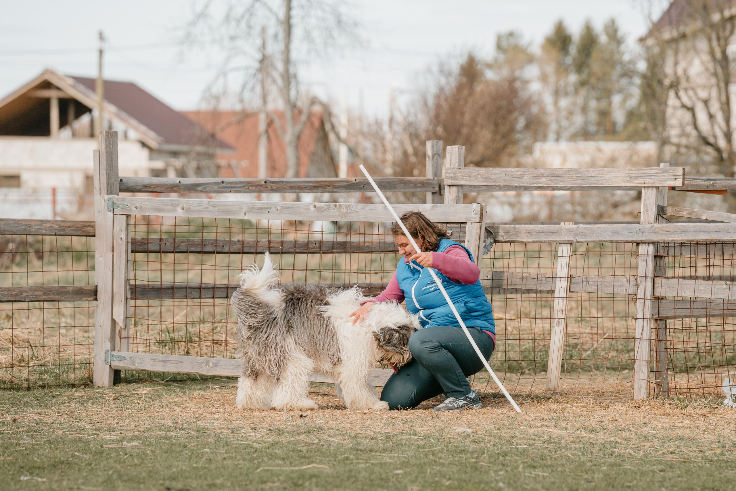 Пастушья служба. Фотограф анималист Осипчикова Мария