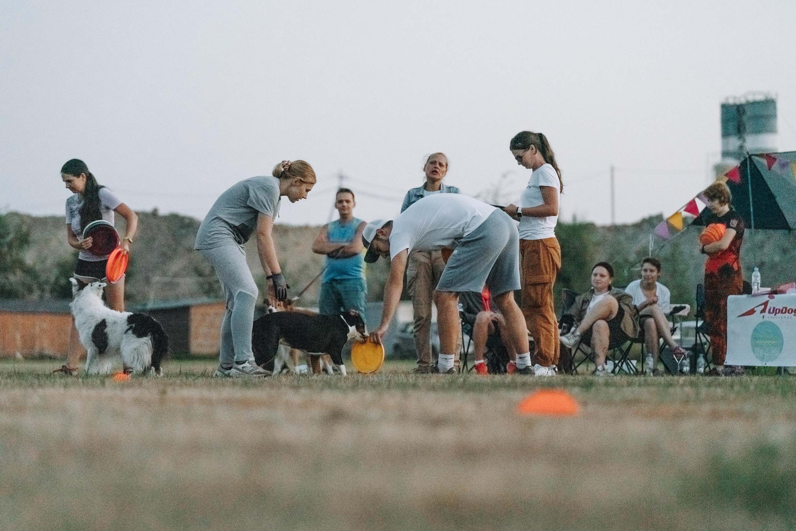 Фрисби игры UpDog. Фотограф анималист Осипчикова Мария