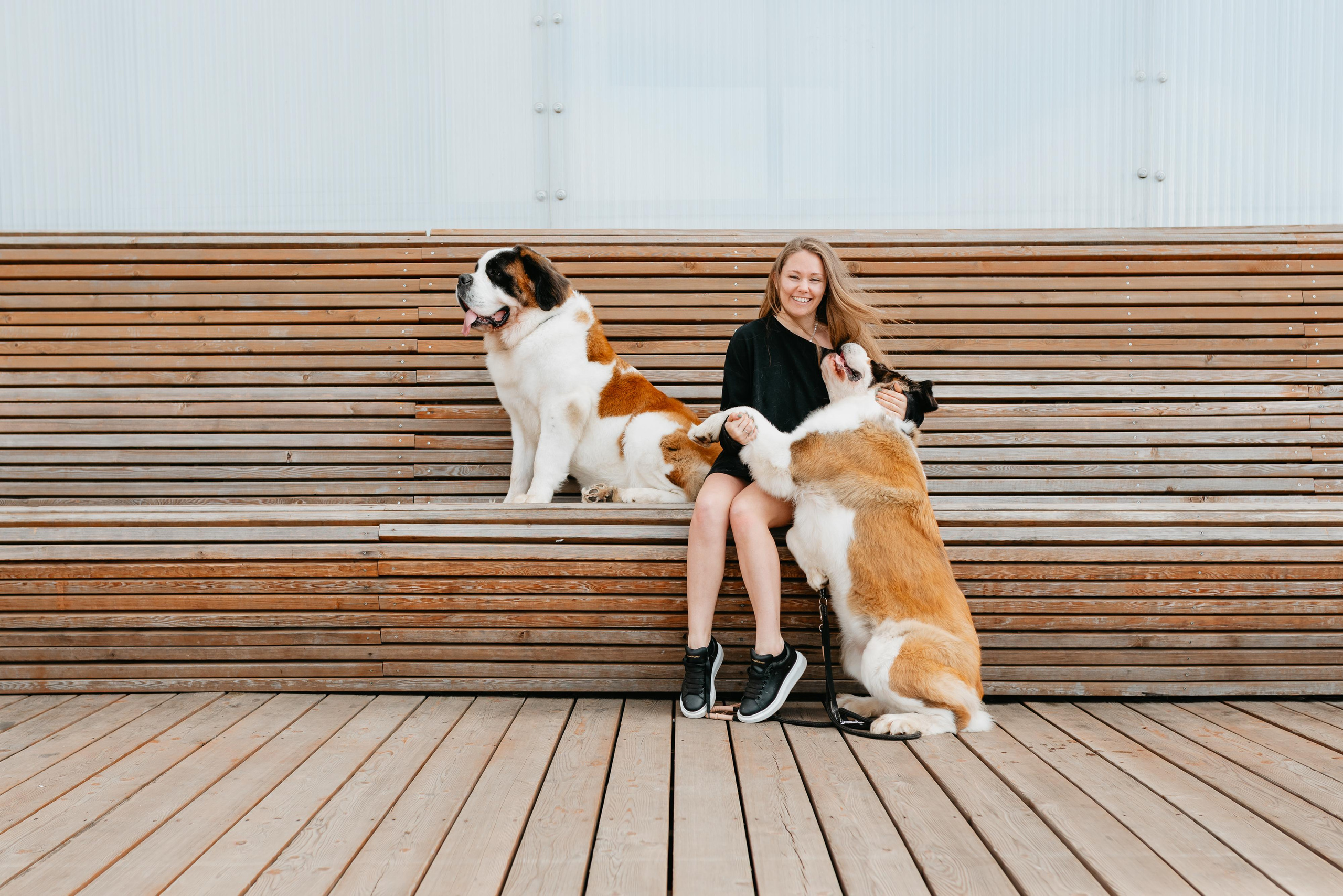 Оля, Молли и Эмми. Фотограф анималист Осипчикова Мария