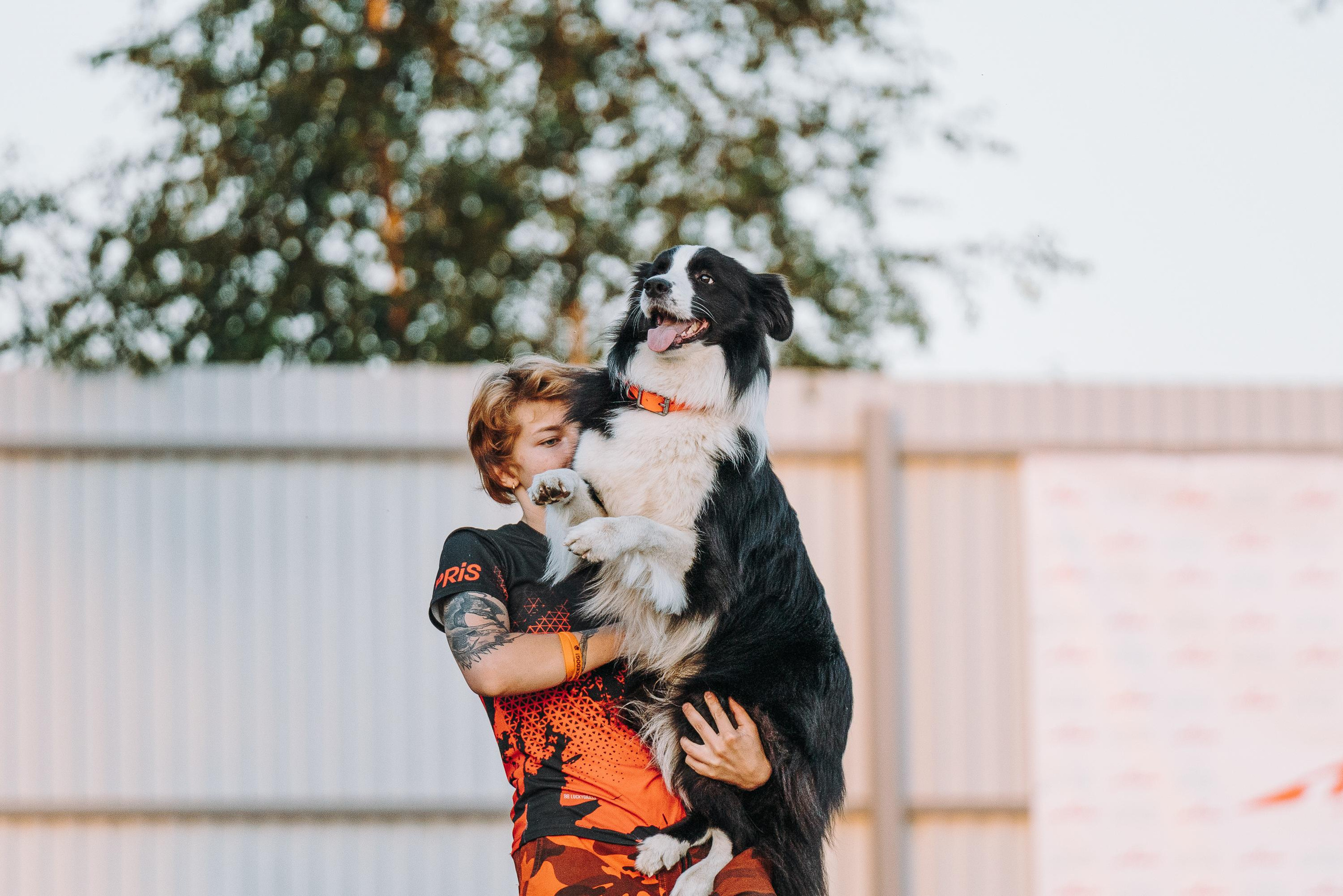 Фрисби игры UpDog. Фотограф анималист Осипчикова Мария