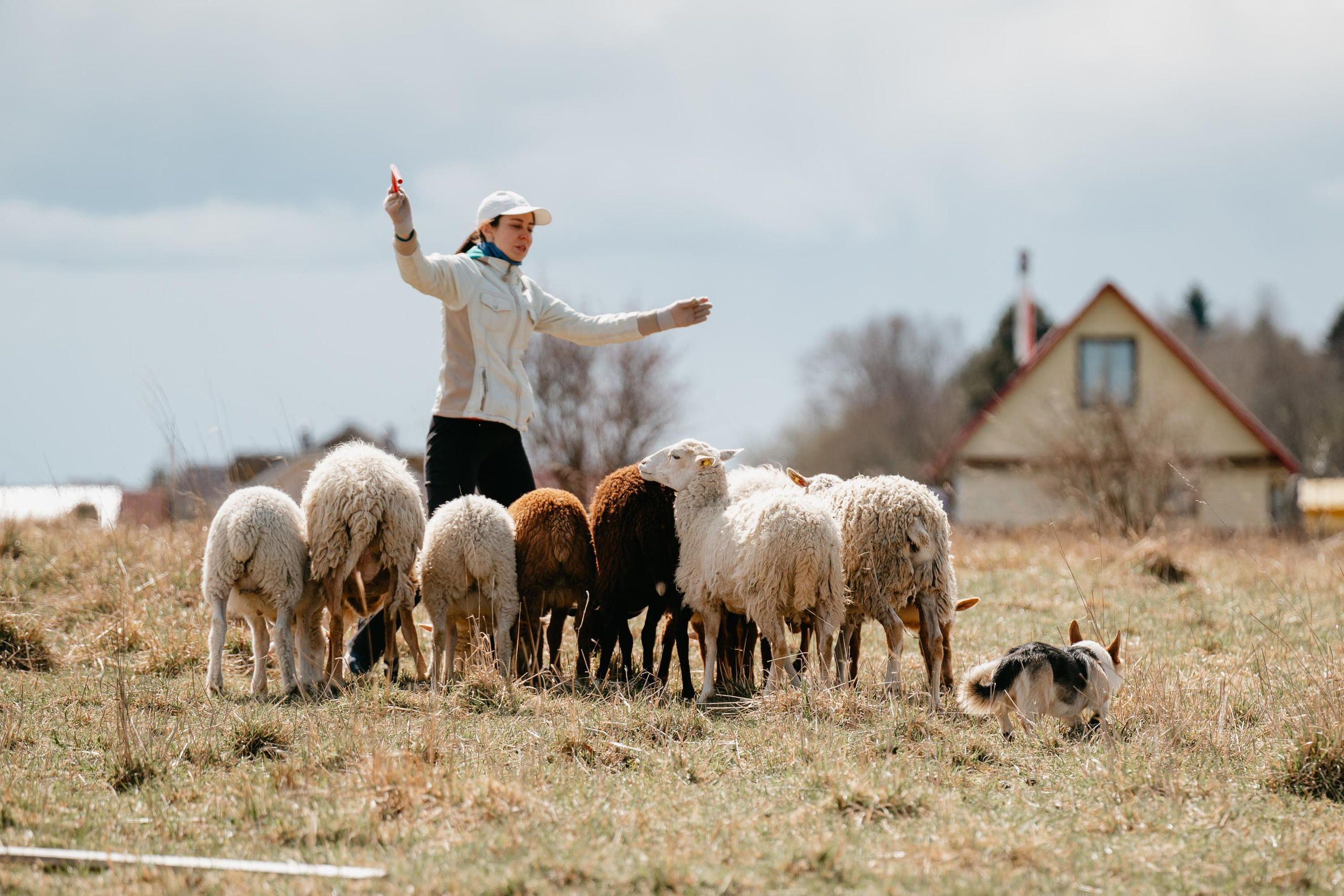 Пастушья служба. Фотограф анималист Осипчикова Мария
