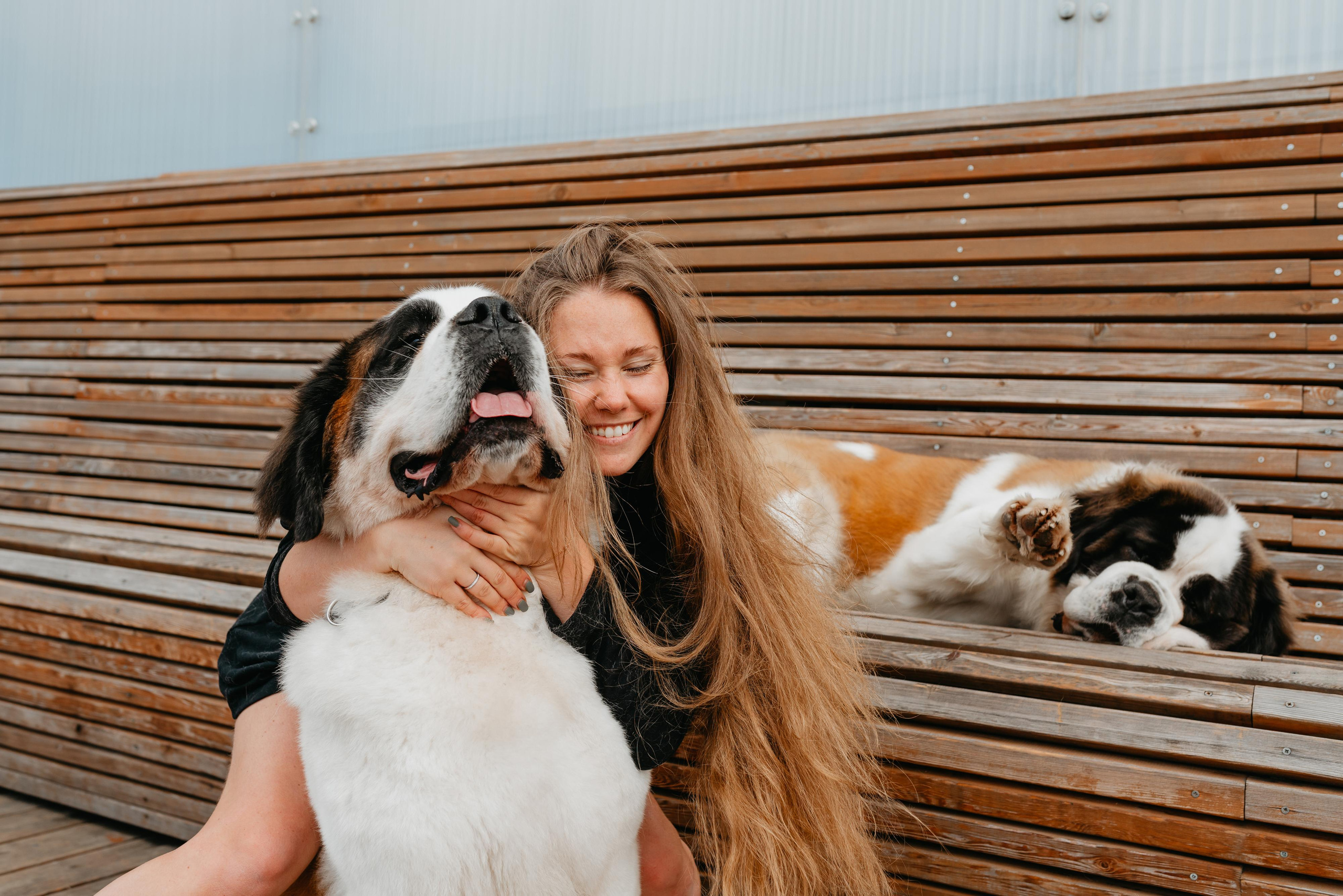 Оля, Молли и Эмми. Фотограф анималист Осипчикова Мария