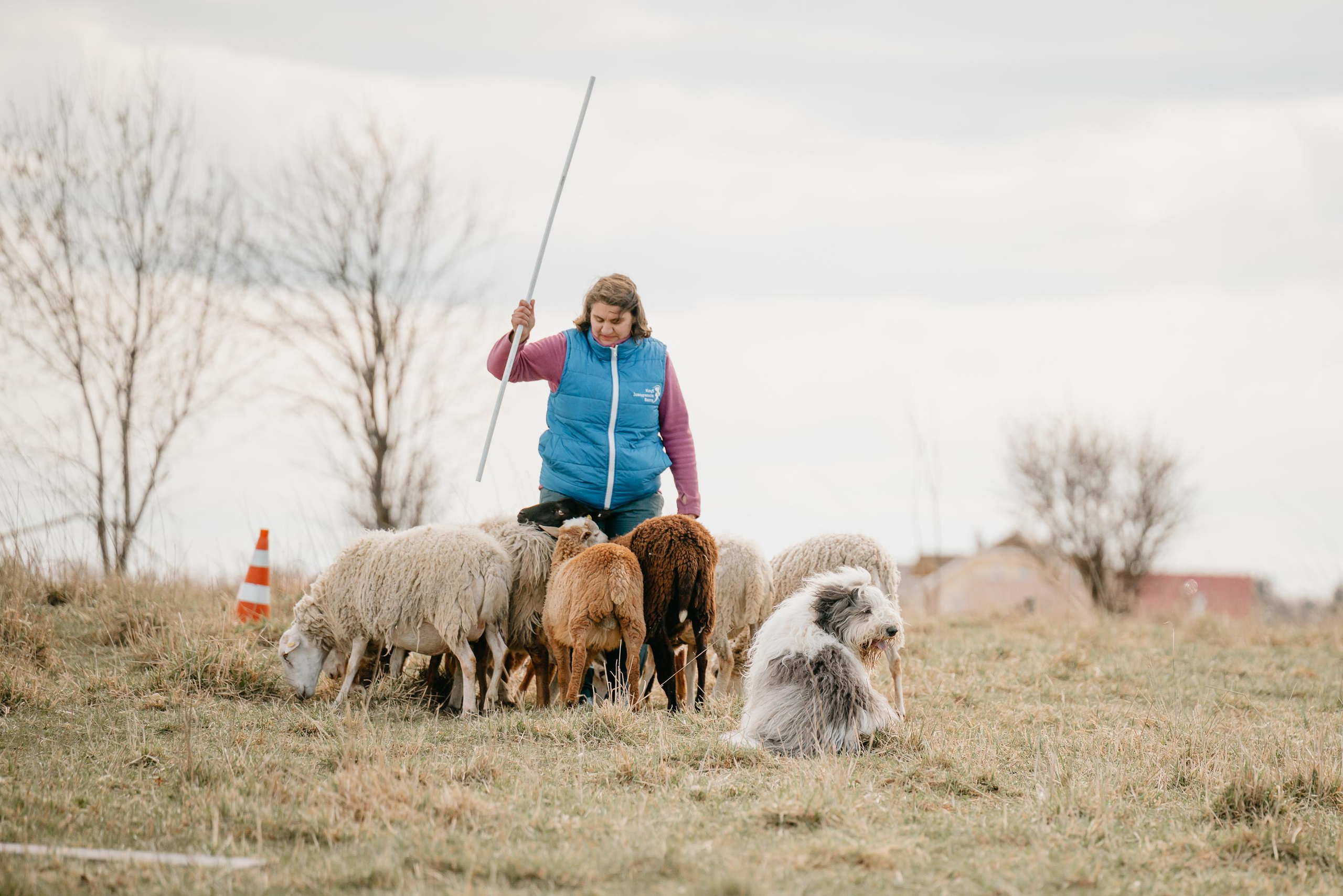 Пастушья служба. Фотограф анималист Осипчикова Мария