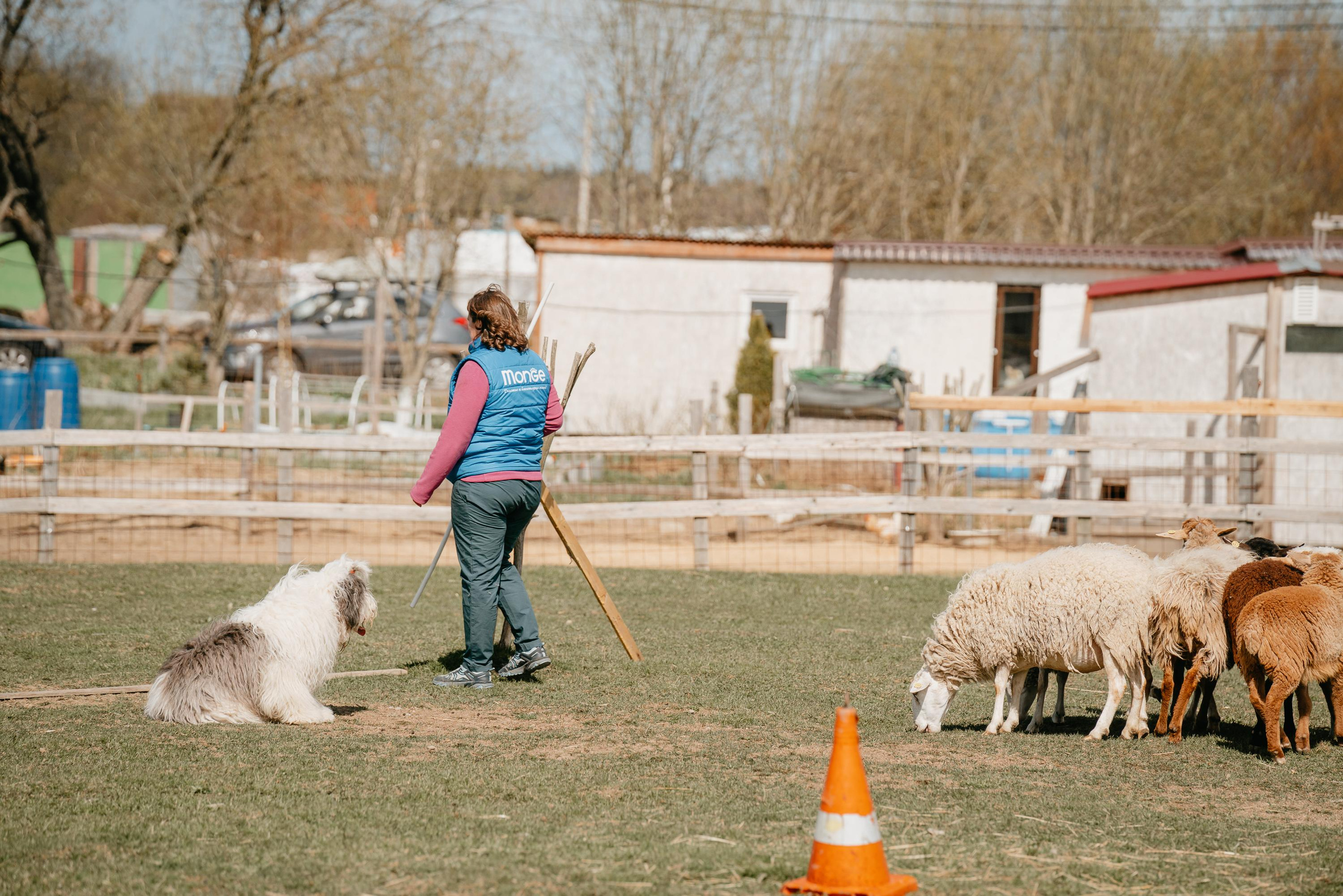 Пастушья служба. Фотограф анималист Осипчикова Мария