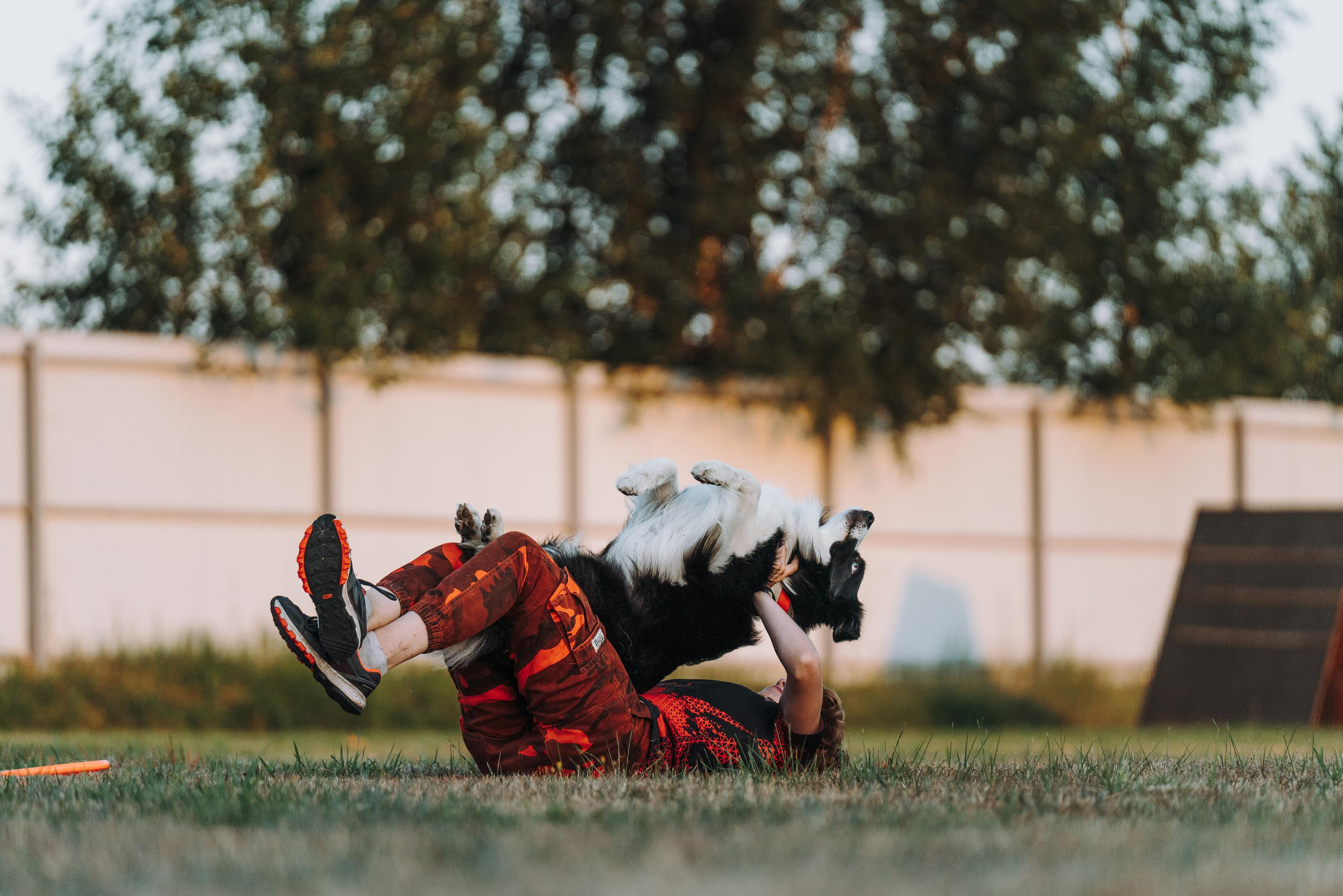 Фрисби игры UpDog. Фотограф анималист Осипчикова Мария