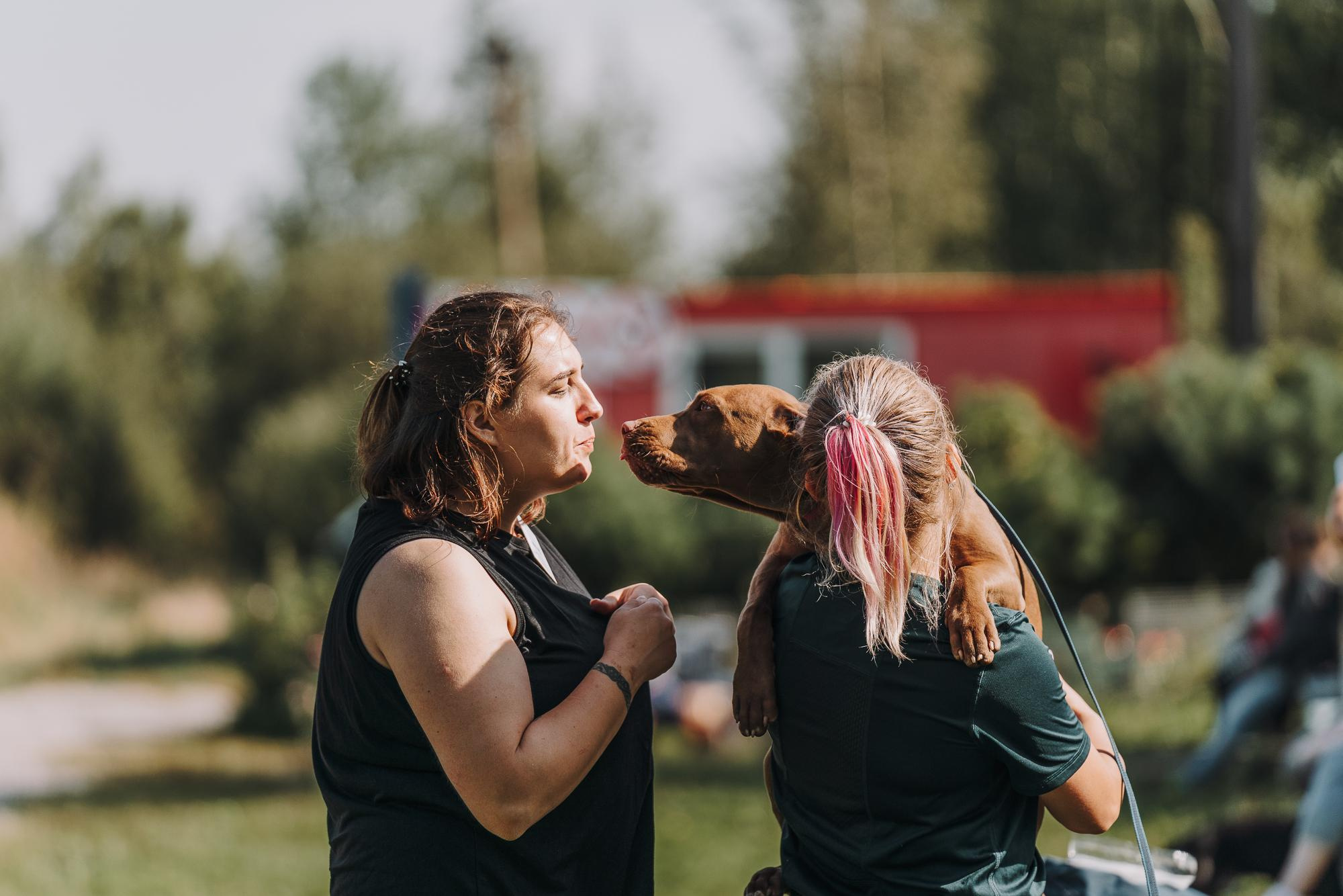 День пита и стаффа. Фотограф анималист Осипчикова Мария