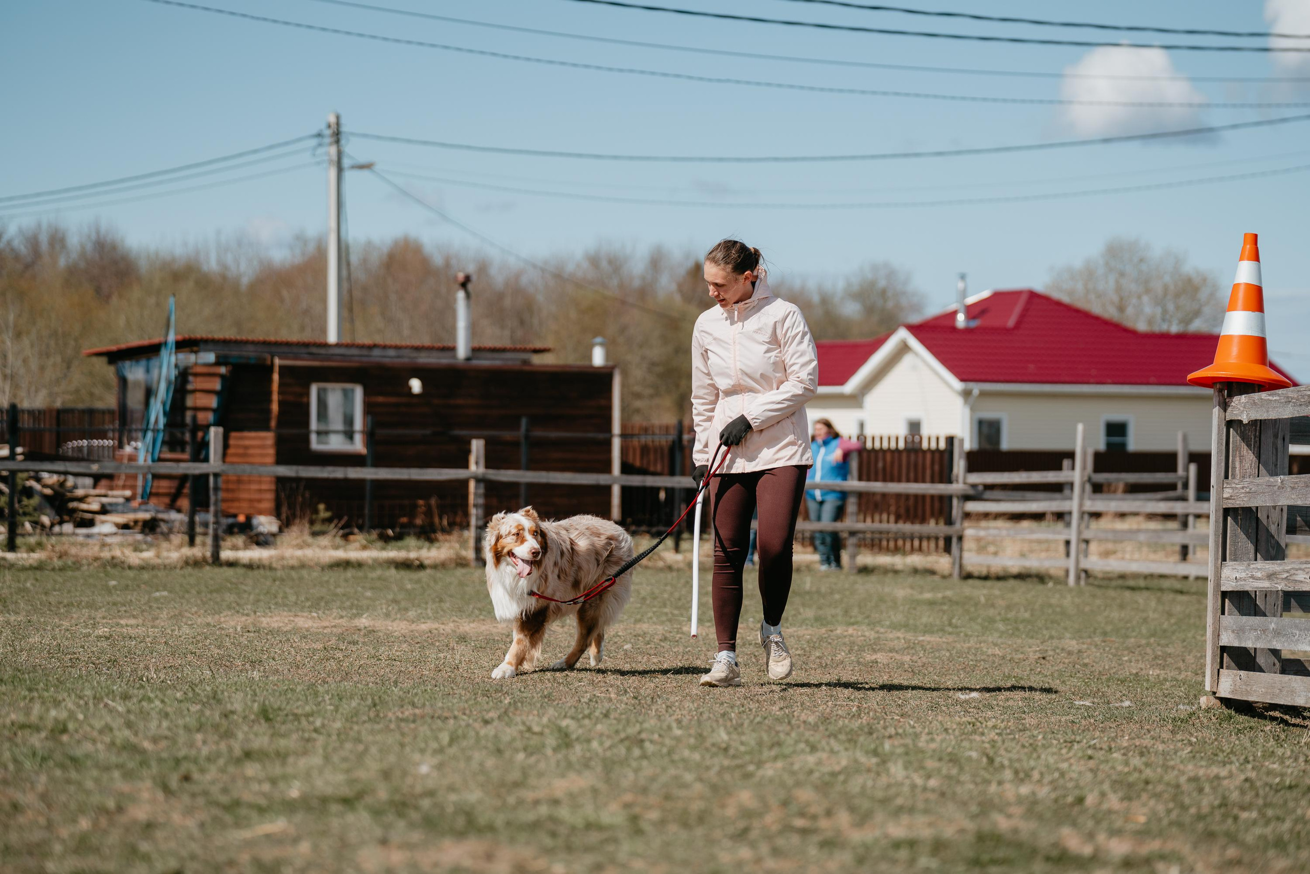 Пастушья служба. Фотограф анималист Осипчикова Мария