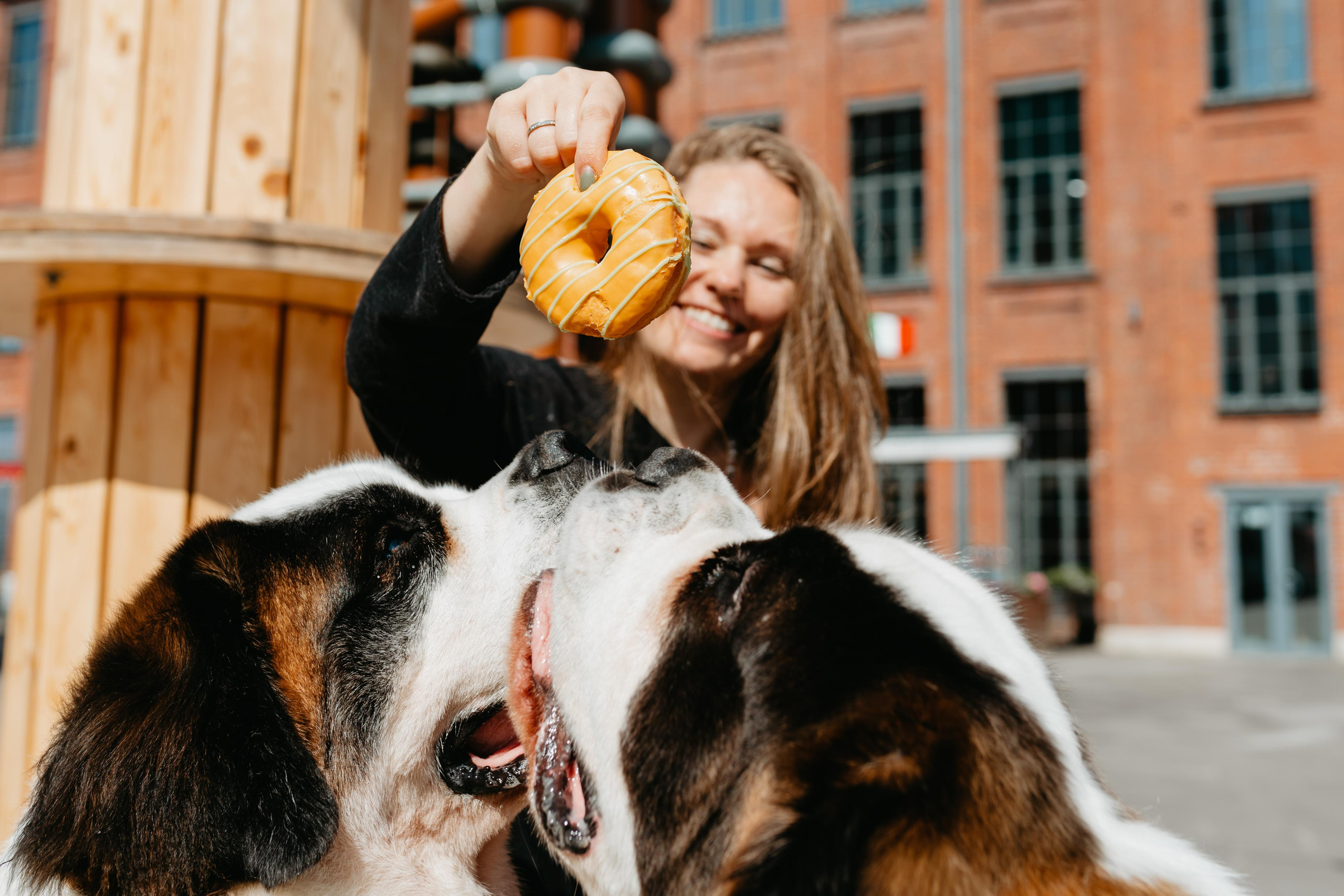 Оля, Молли и Эмми. Фотограф анималист Осипчикова Мария