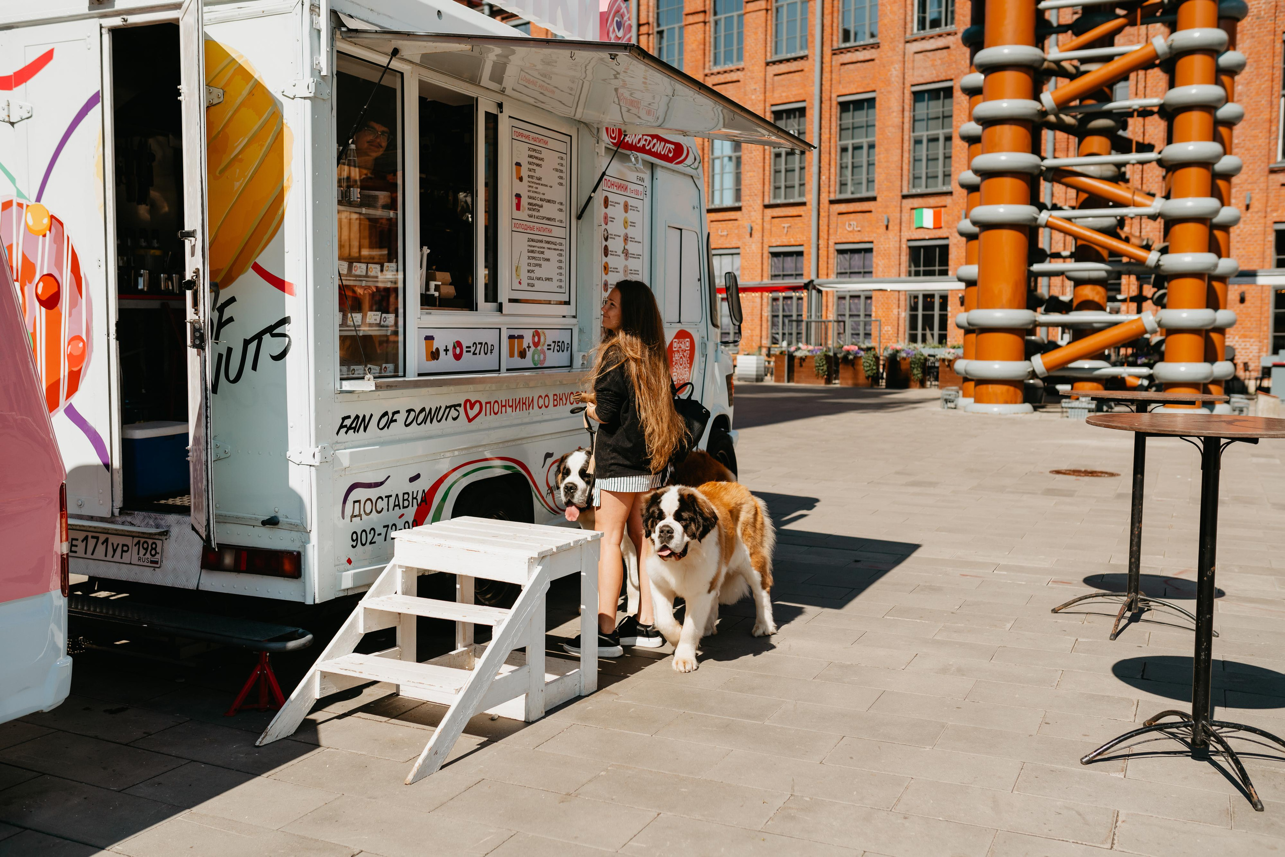 Оля, Молли и Эмми. Фотограф анималист Осипчикова Мария