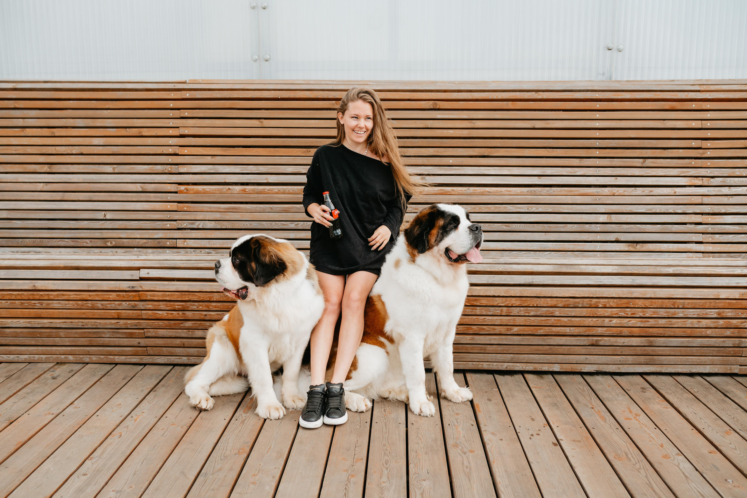 Оля, Молли и Эмми. Фотограф анималист Осипчикова Мария