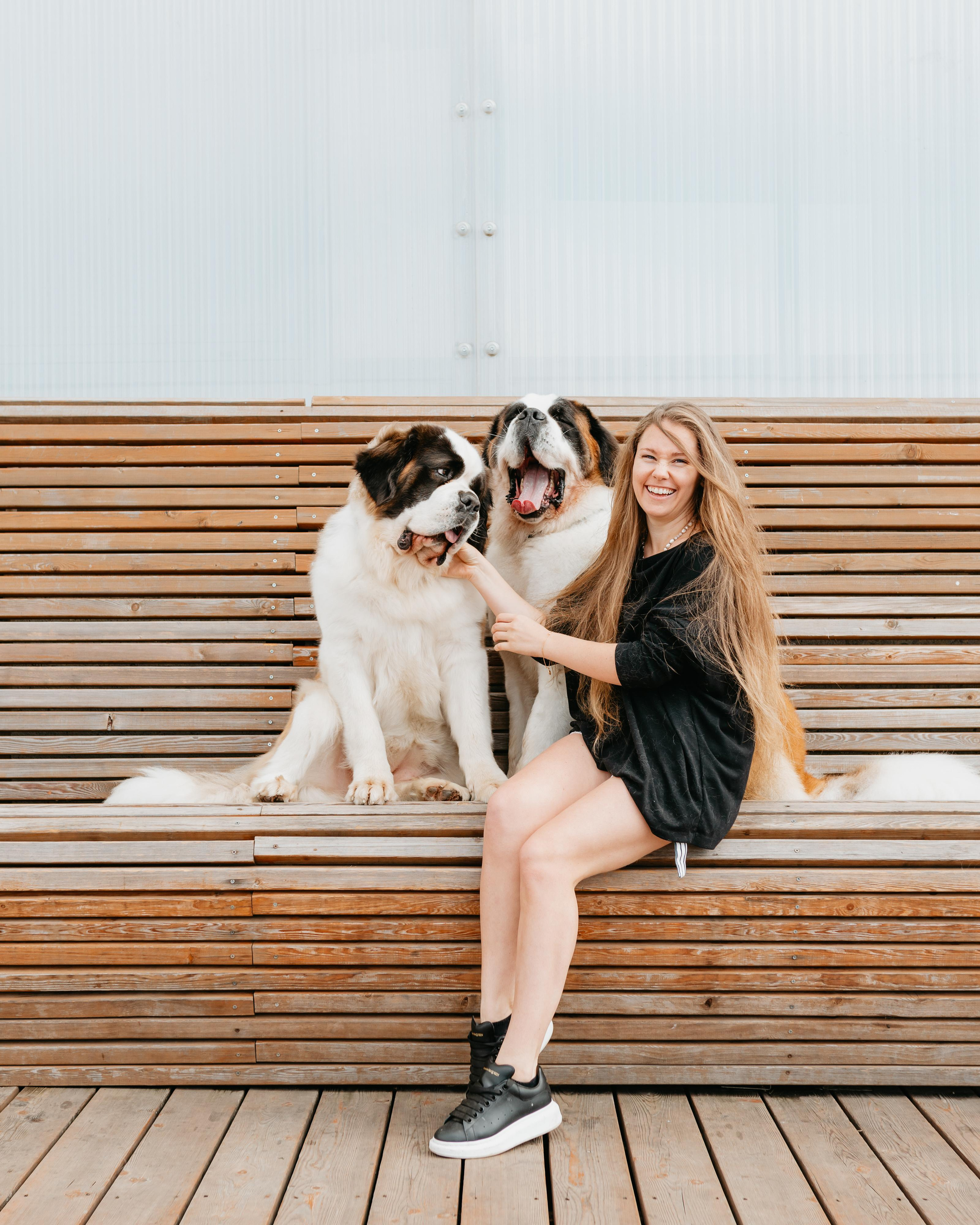 Оля, Молли и Эмми. Фотограф анималист Осипчикова Мария