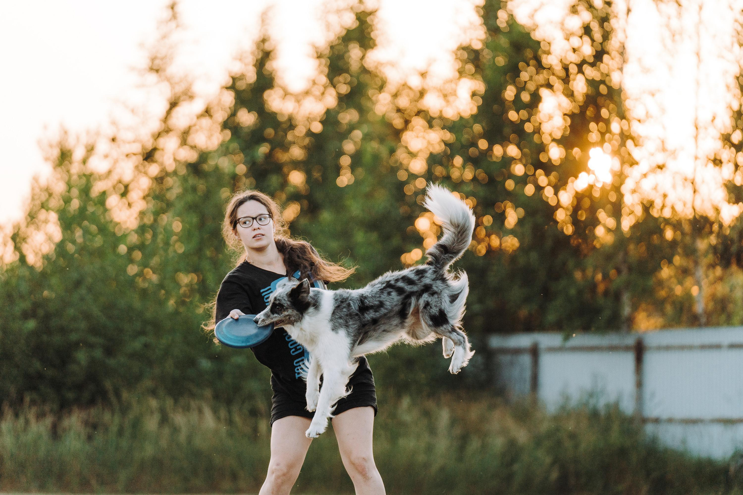 Фрисби игры UpDog. Фотограф анималист Осипчикова Мария