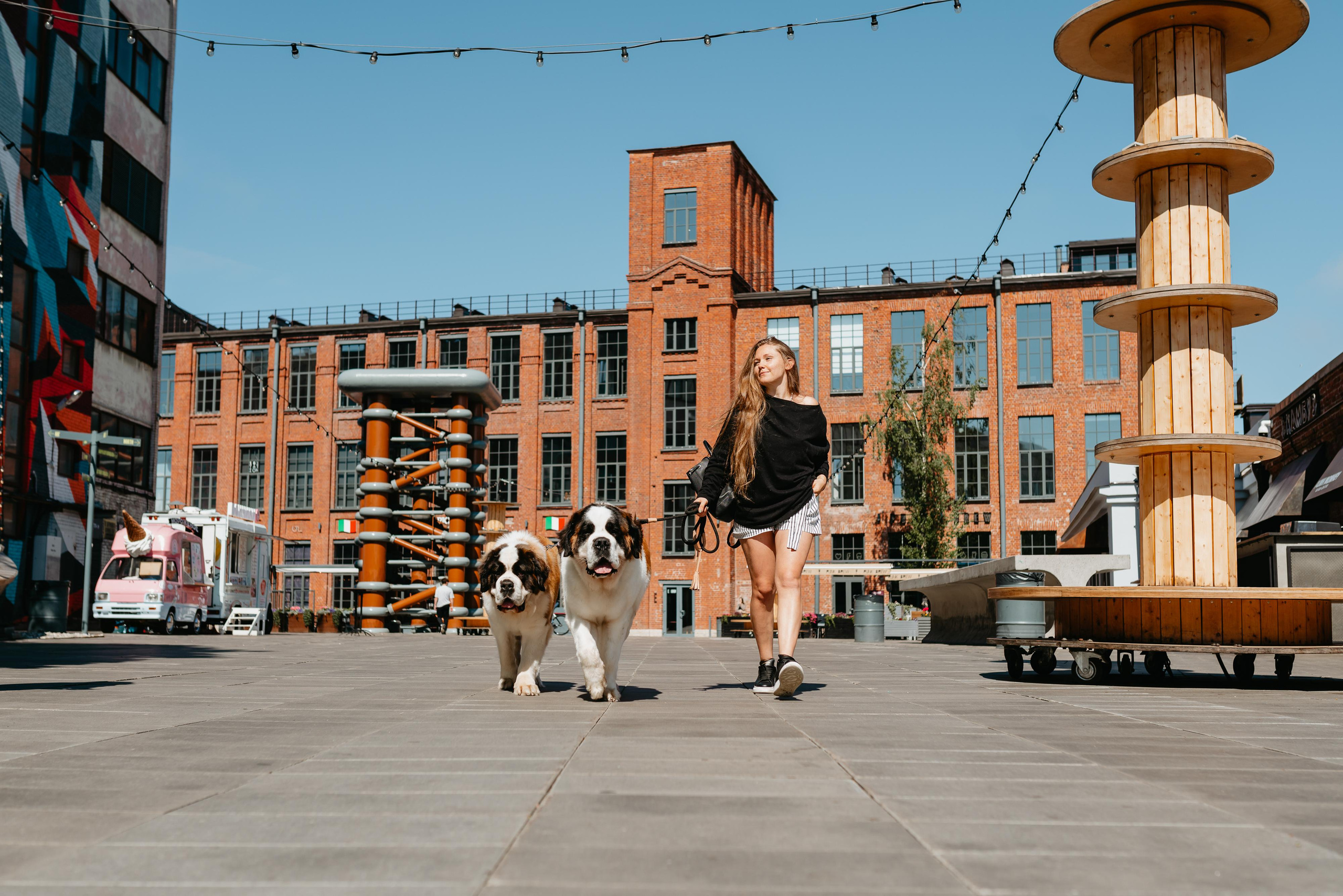 Оля, Молли и Эмми. Фотограф анималист Осипчикова Мария