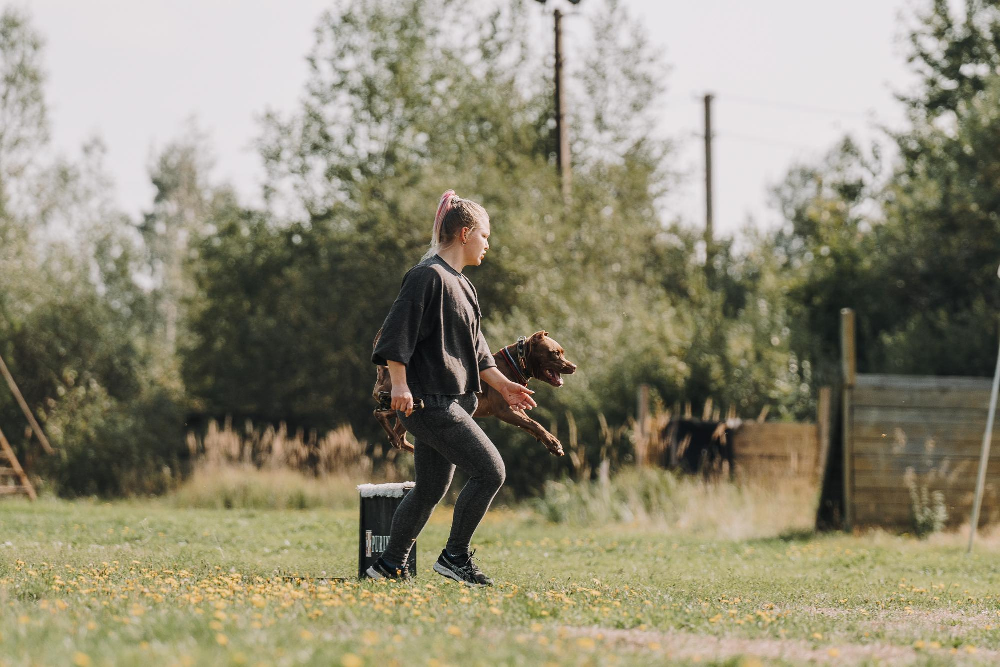 День пита и стаффа. Фотограф анималист Осипчикова Мария