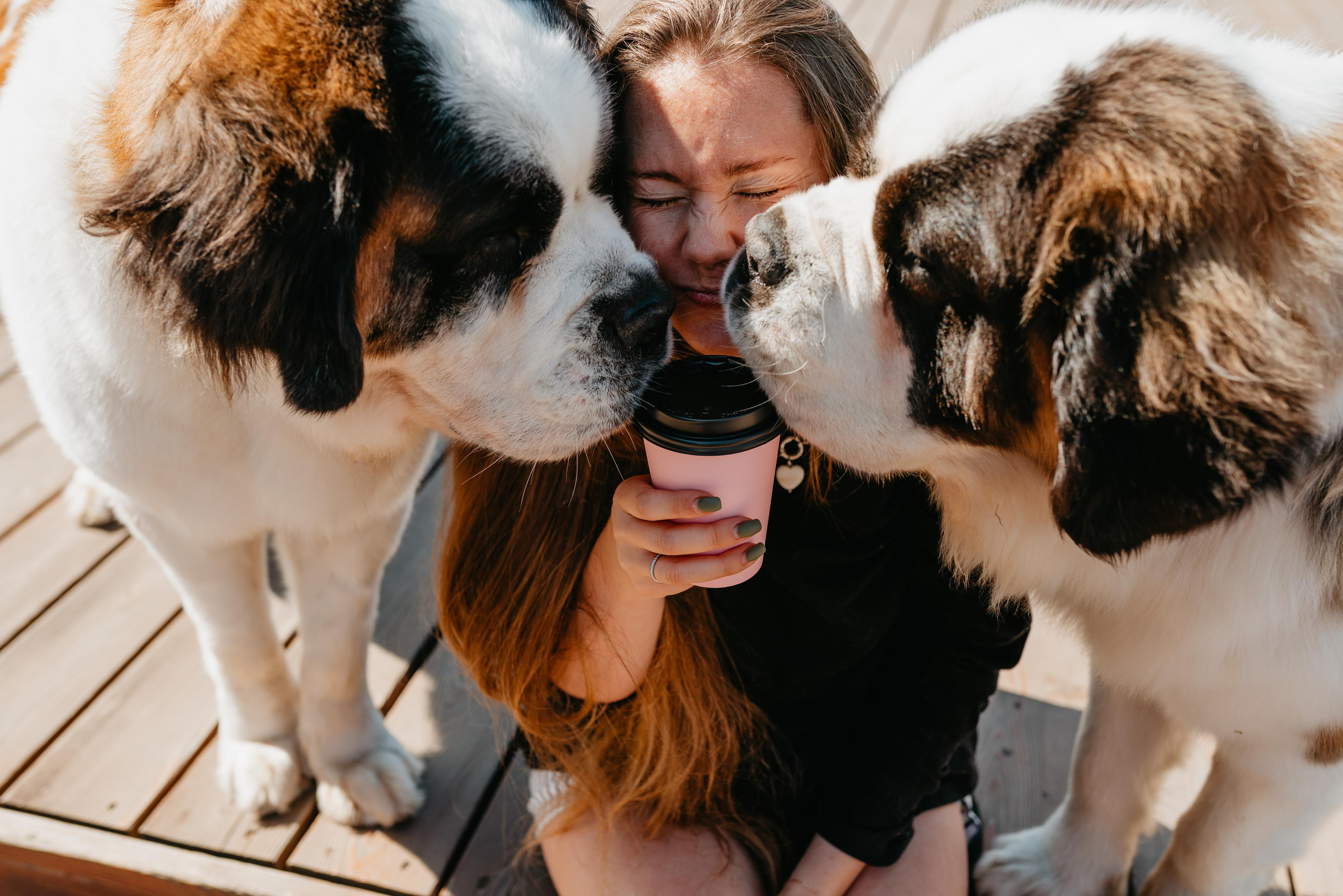 Оля, Молли и Эмми. Фотограф анималист Осипчикова Мария