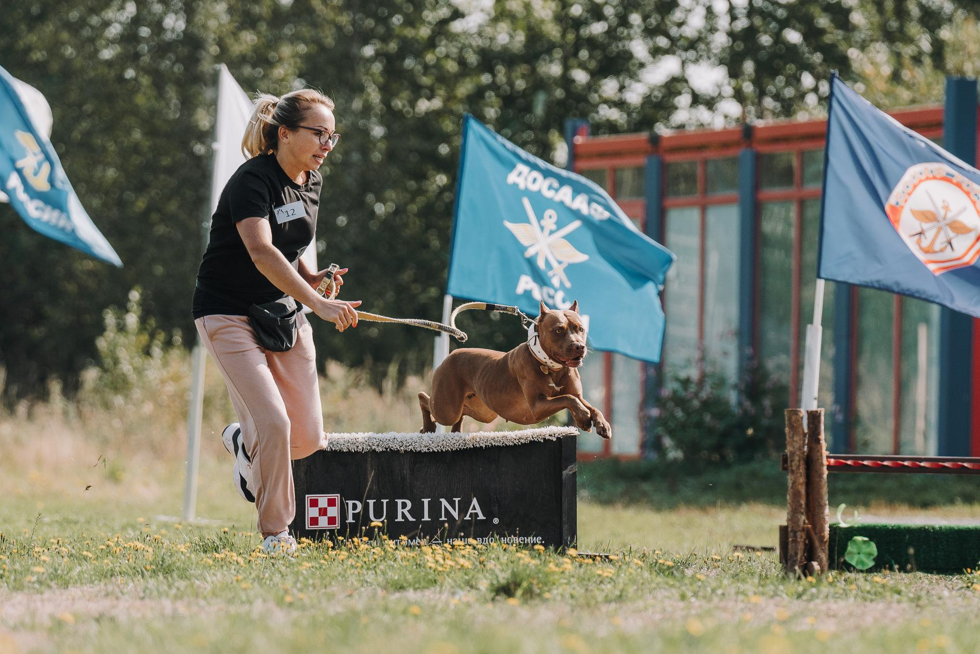 День пита и стаффа. Фотограф анималист Осипчикова Мария