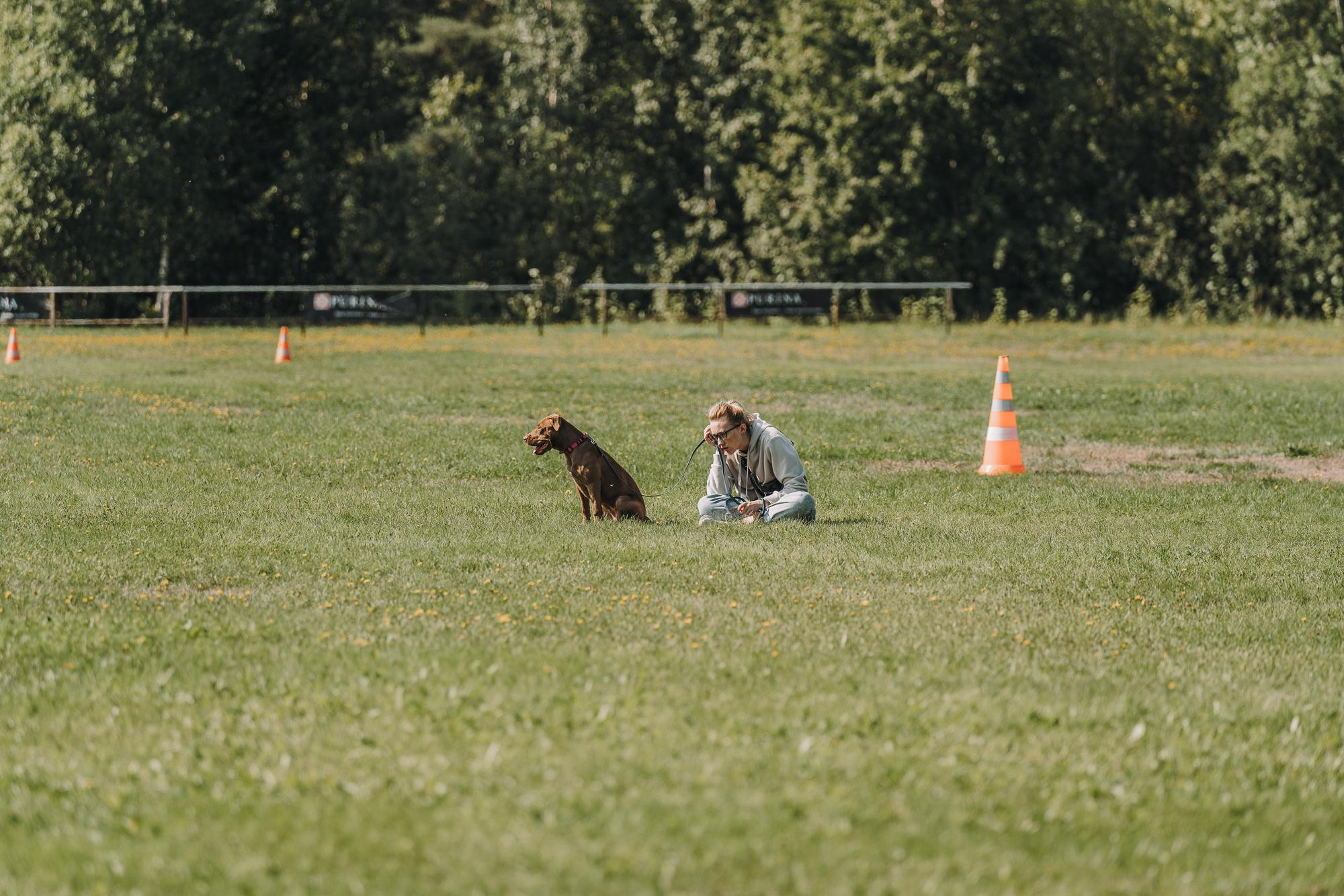 День пита и стаффа. Фотограф анималист Осипчикова Мария