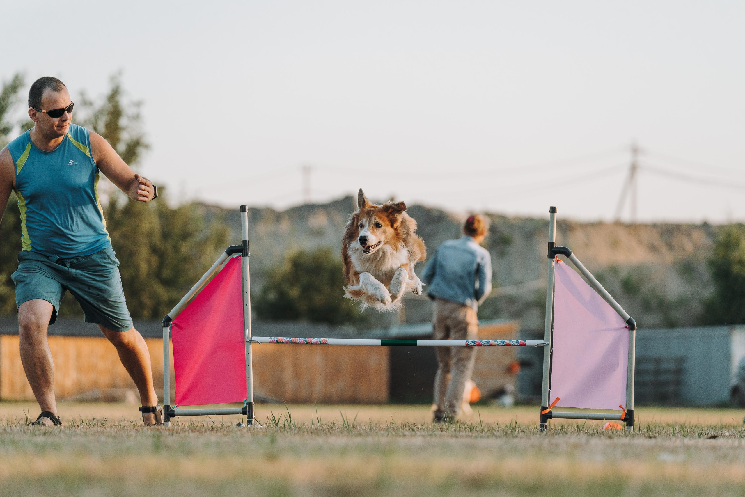 Фрисби игры UpDog. Фотограф анималист Осипчикова Мария