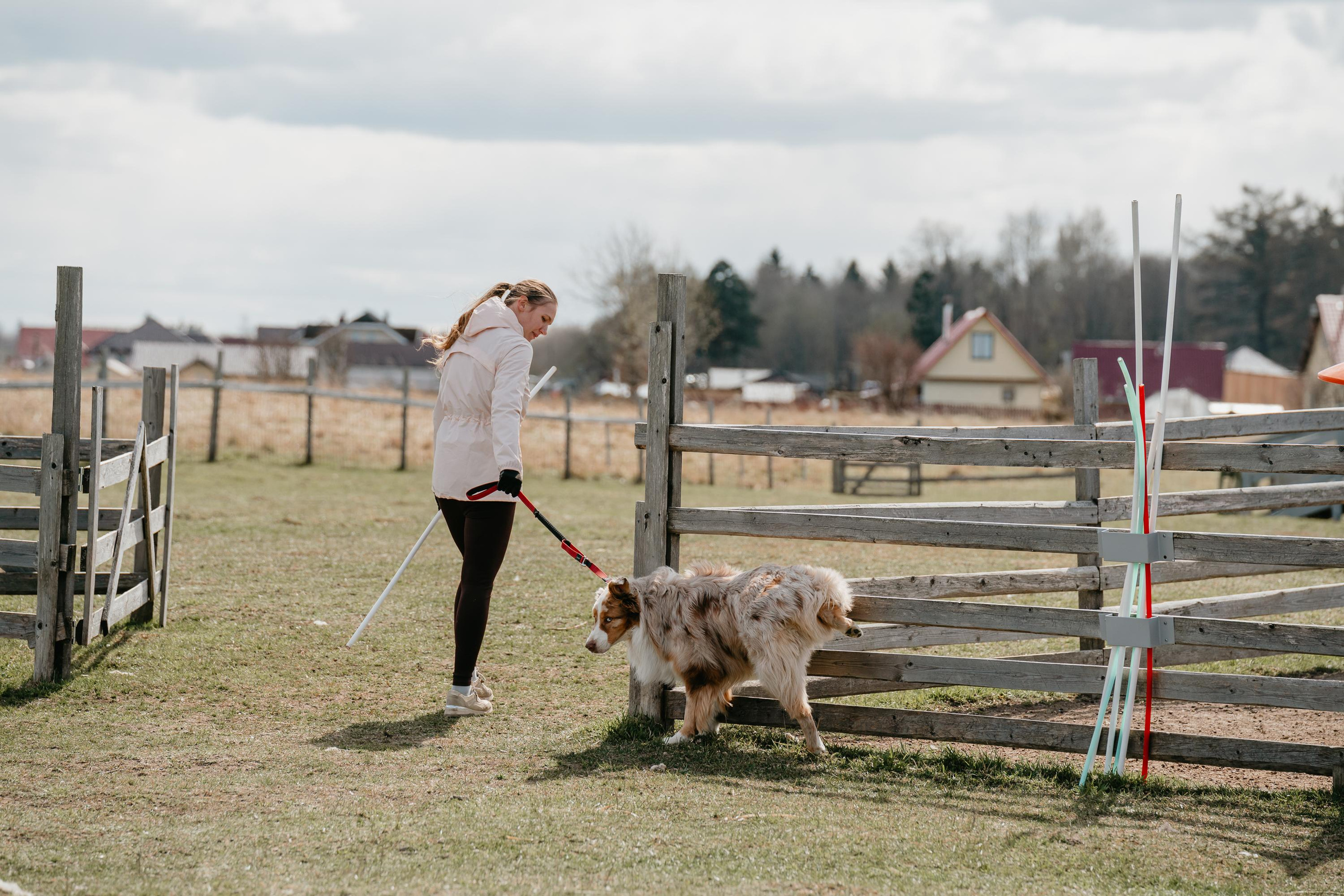 Пастушья служба. Фотограф анималист Осипчикова Мария