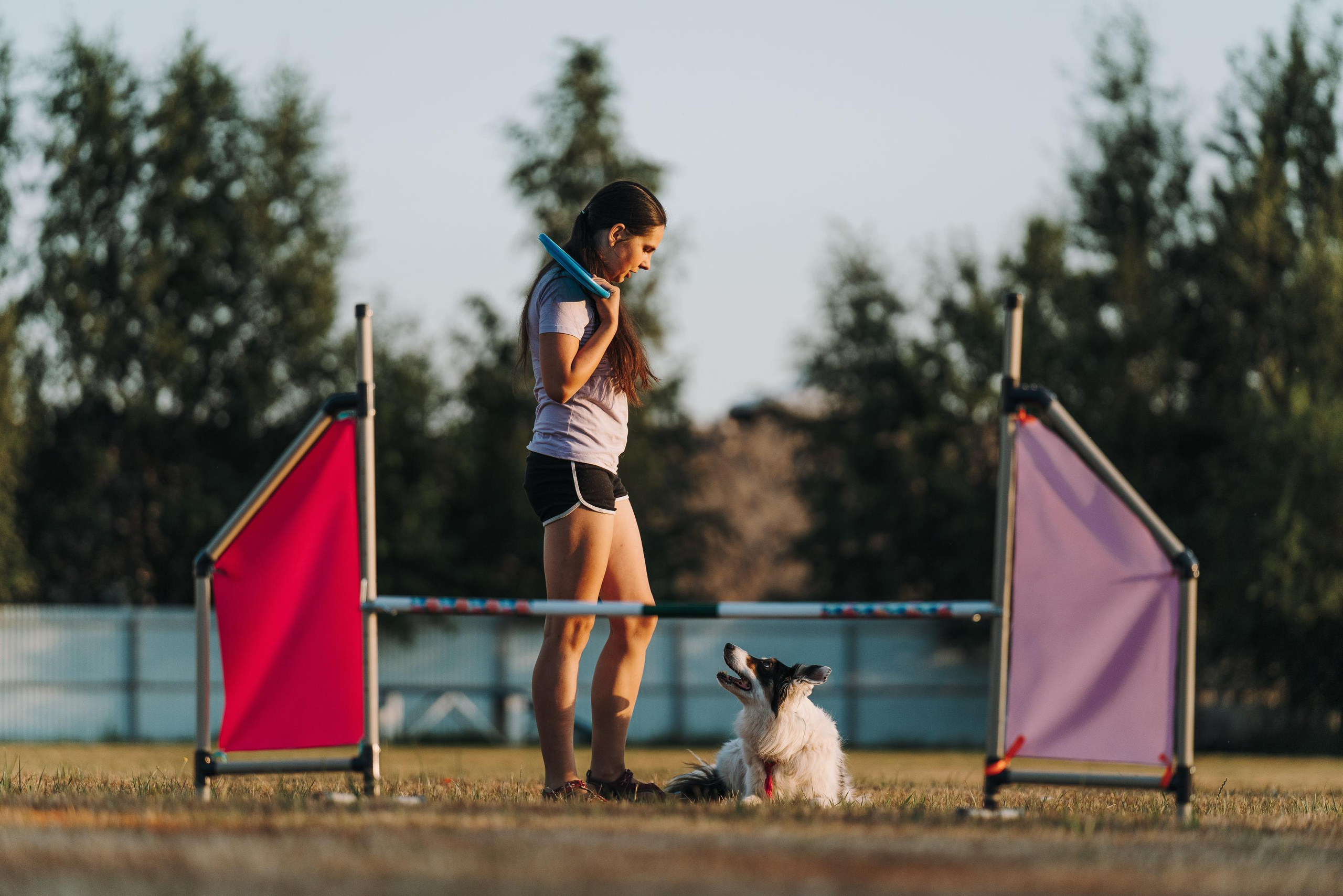 Фрисби игры UpDog. Фотограф анималист Осипчикова Мария