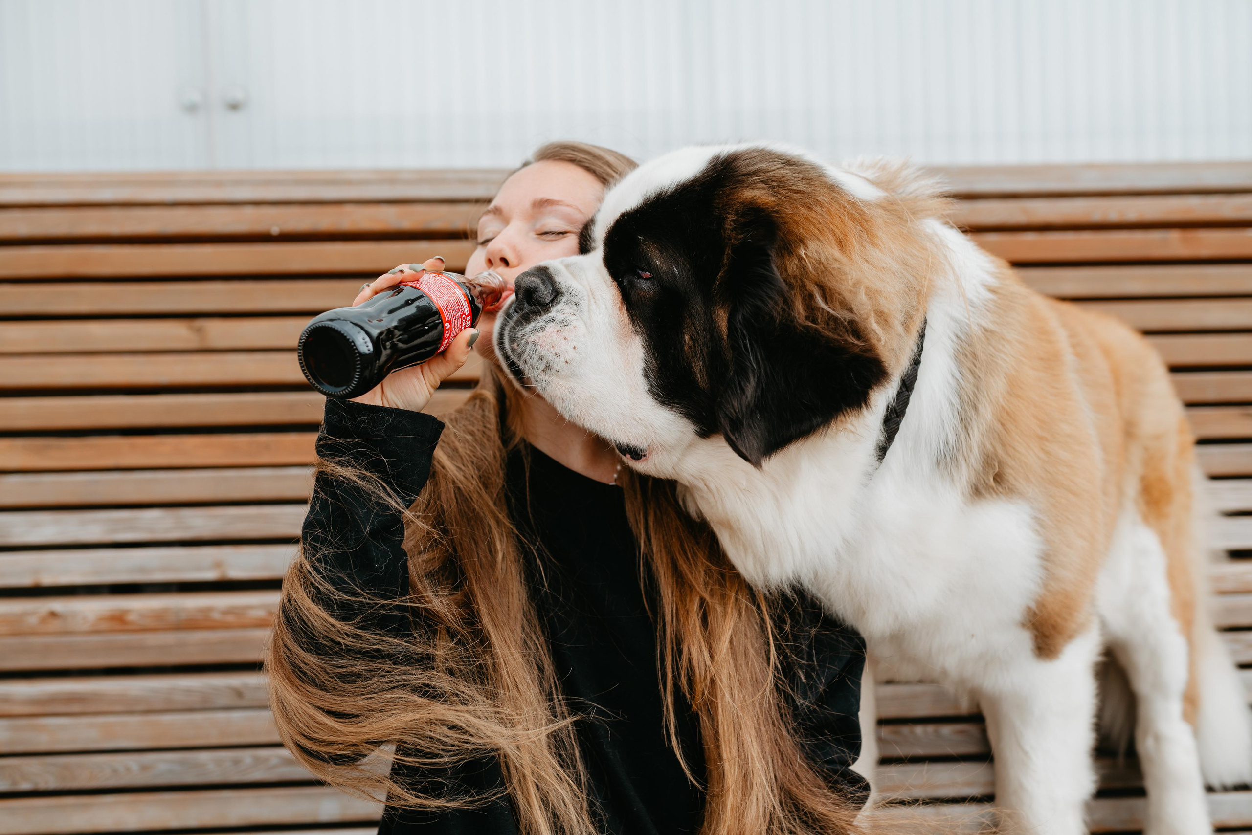 Оля, Молли и Эмми. Фотограф анималист Осипчикова Мария