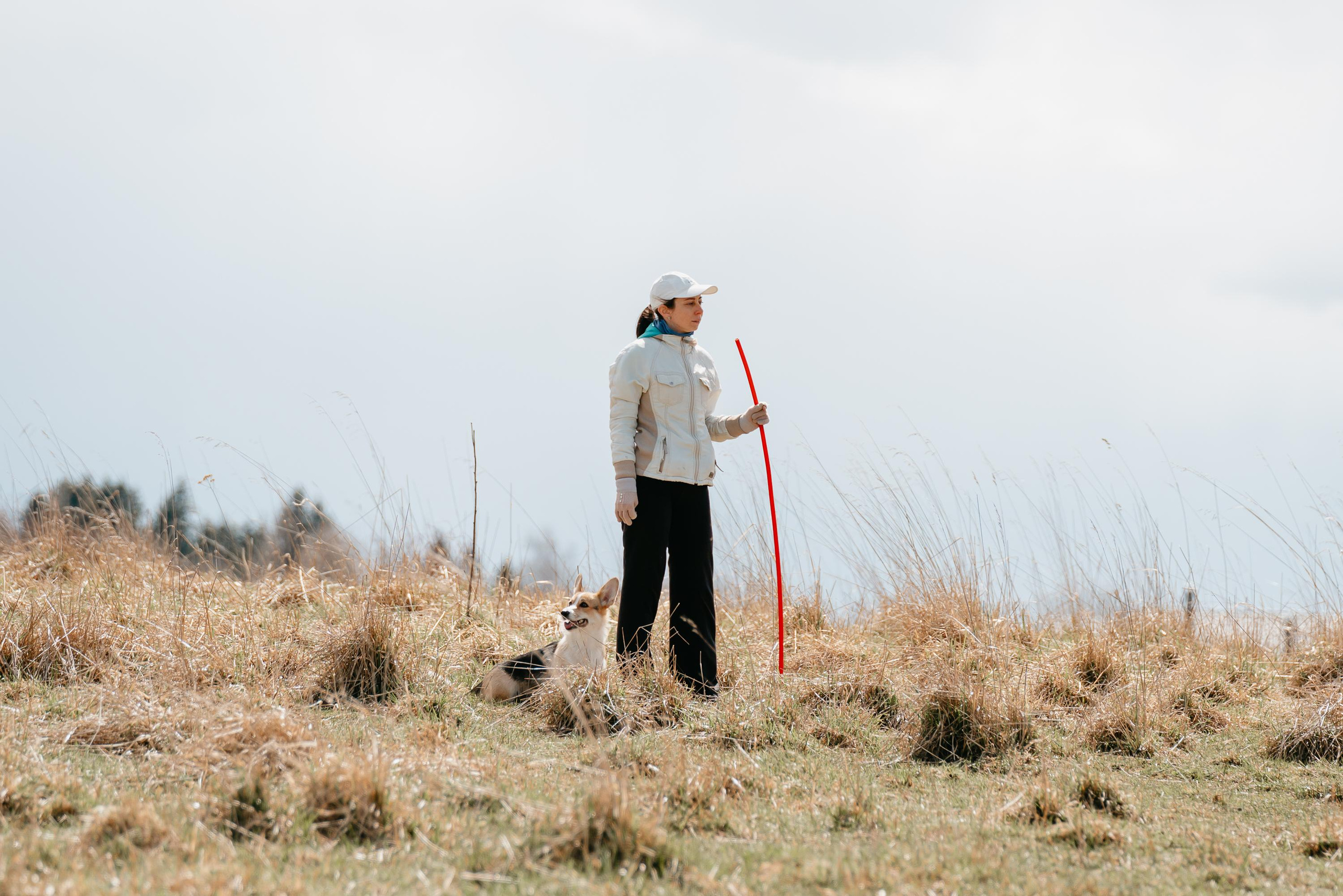 Пастушья служба. Фотограф анималист Осипчикова Мария
