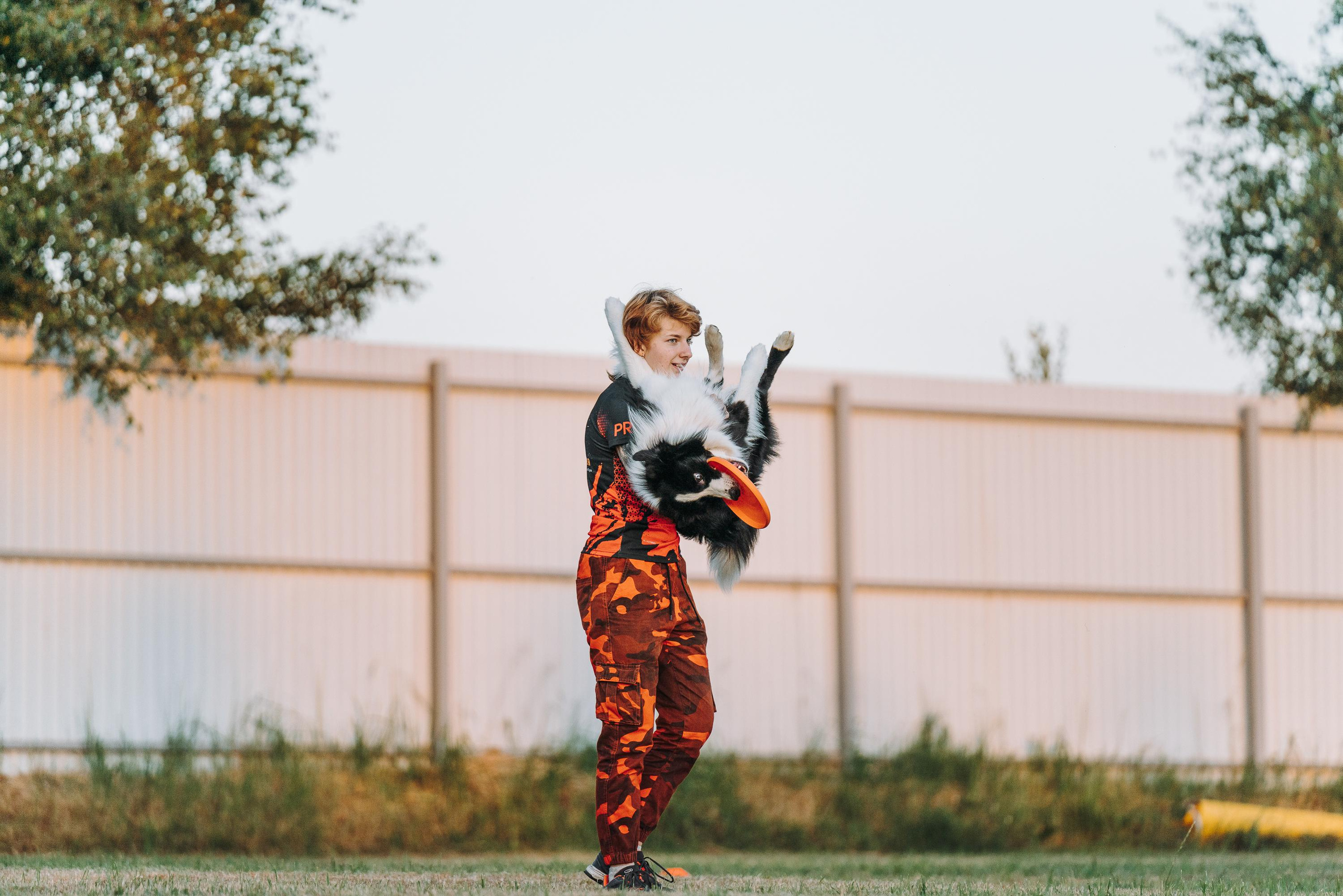 Фрисби игры UpDog. Фотограф анималист Осипчикова Мария