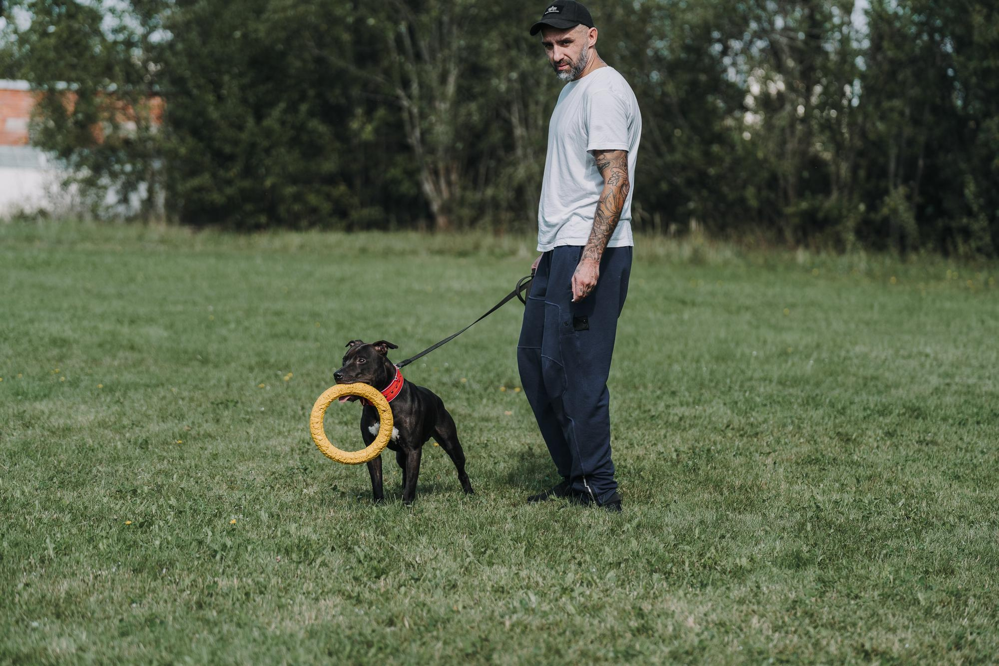 День пита и стаффа. Фотограф анималист Осипчикова Мария