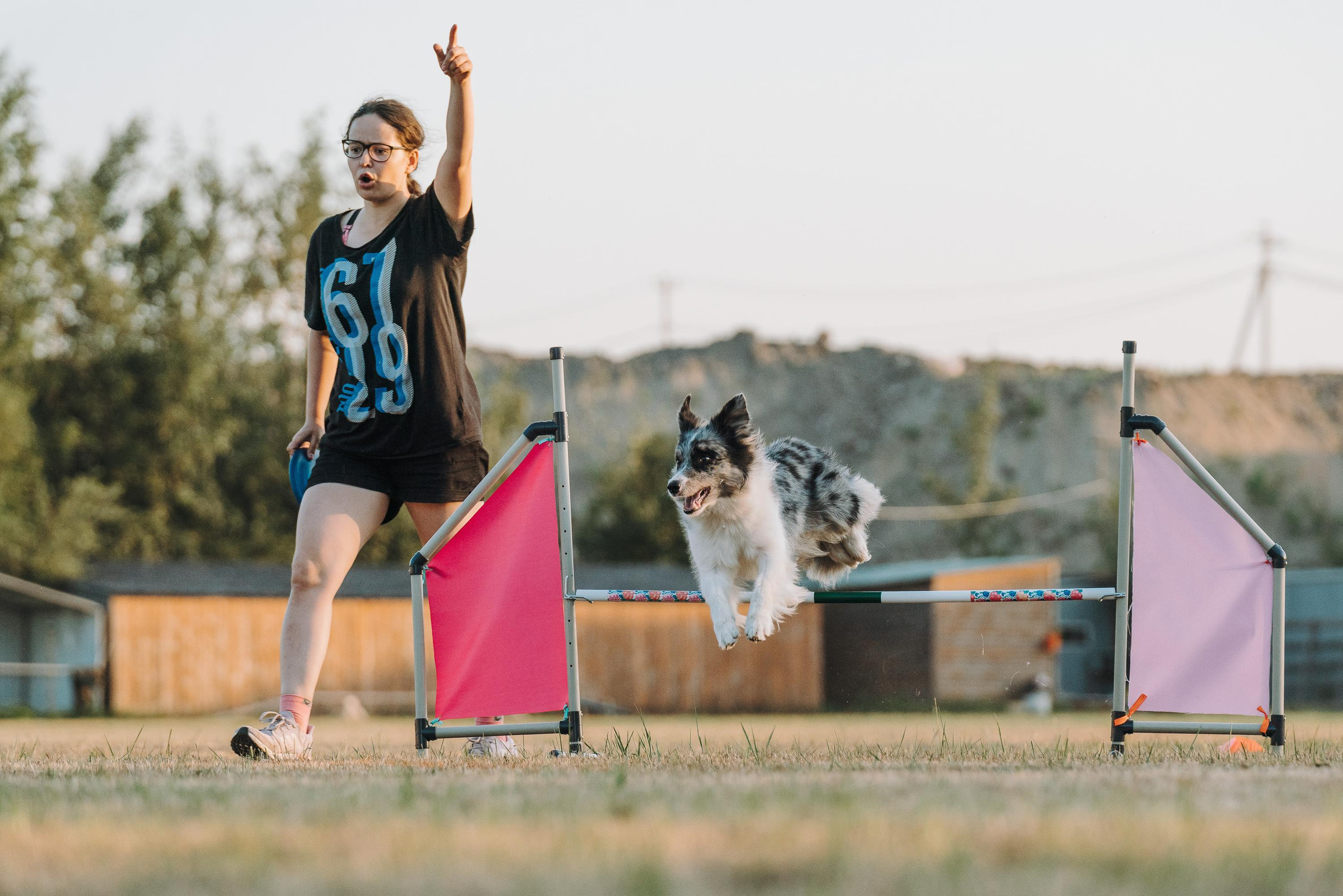 Фрисби игры UpDog. Фотограф анималист Осипчикова Мария