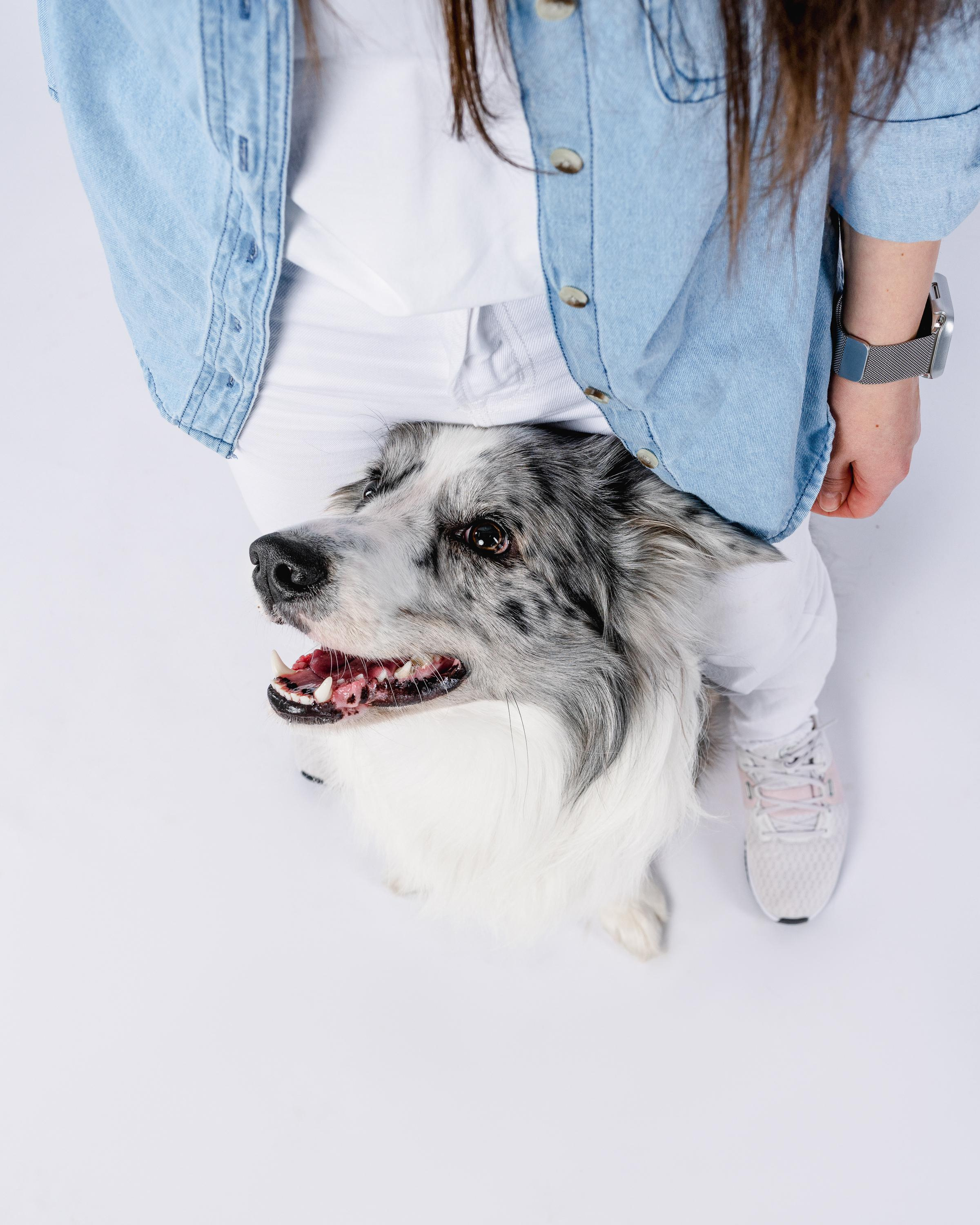 Юля и Ньютон. Фотограф анималист Осипчикова Мария