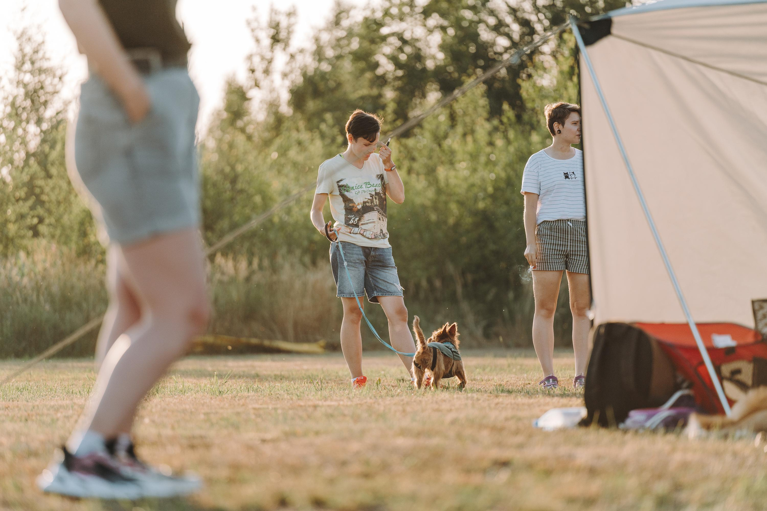 Фрисби игры UpDog. Фотограф анималист Осипчикова Мария